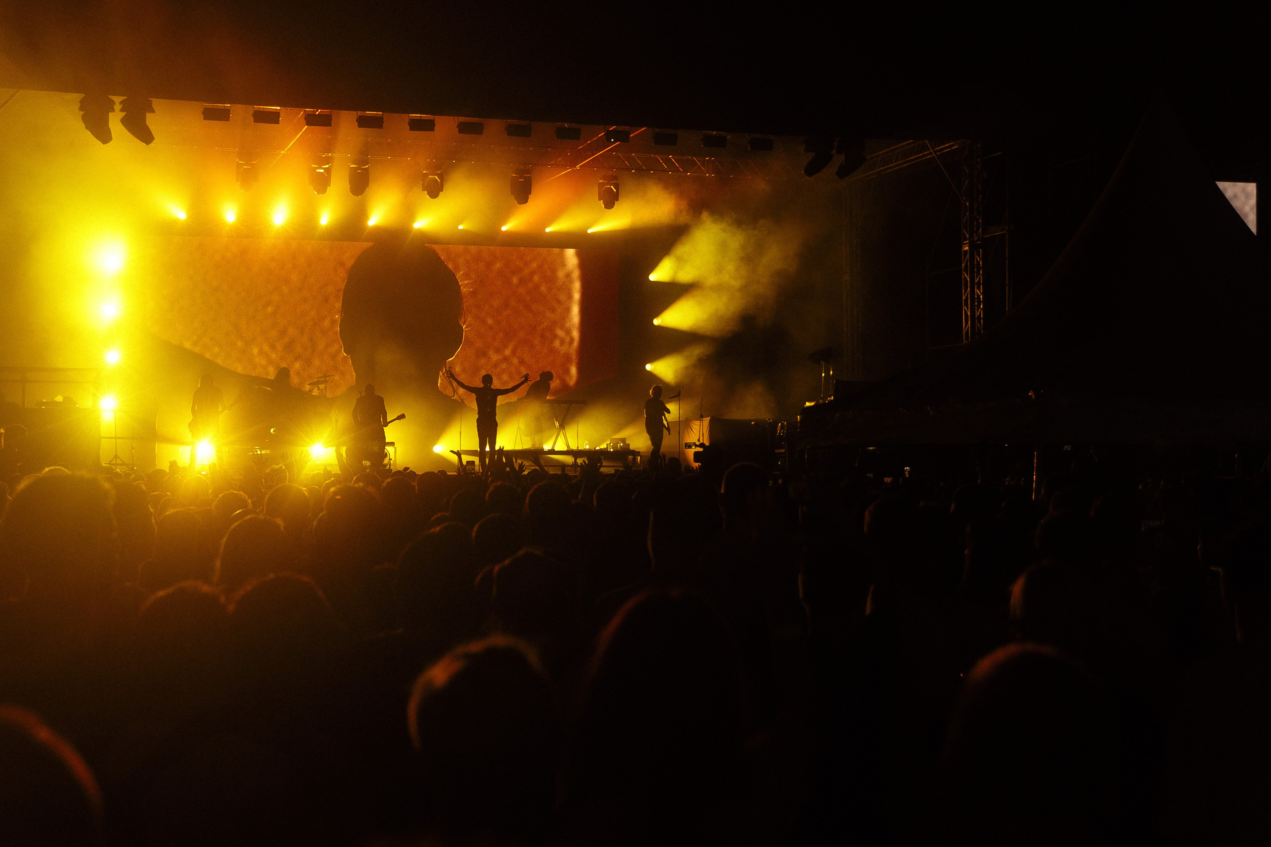 Live show. Фотограф в Новосибирске и Москве