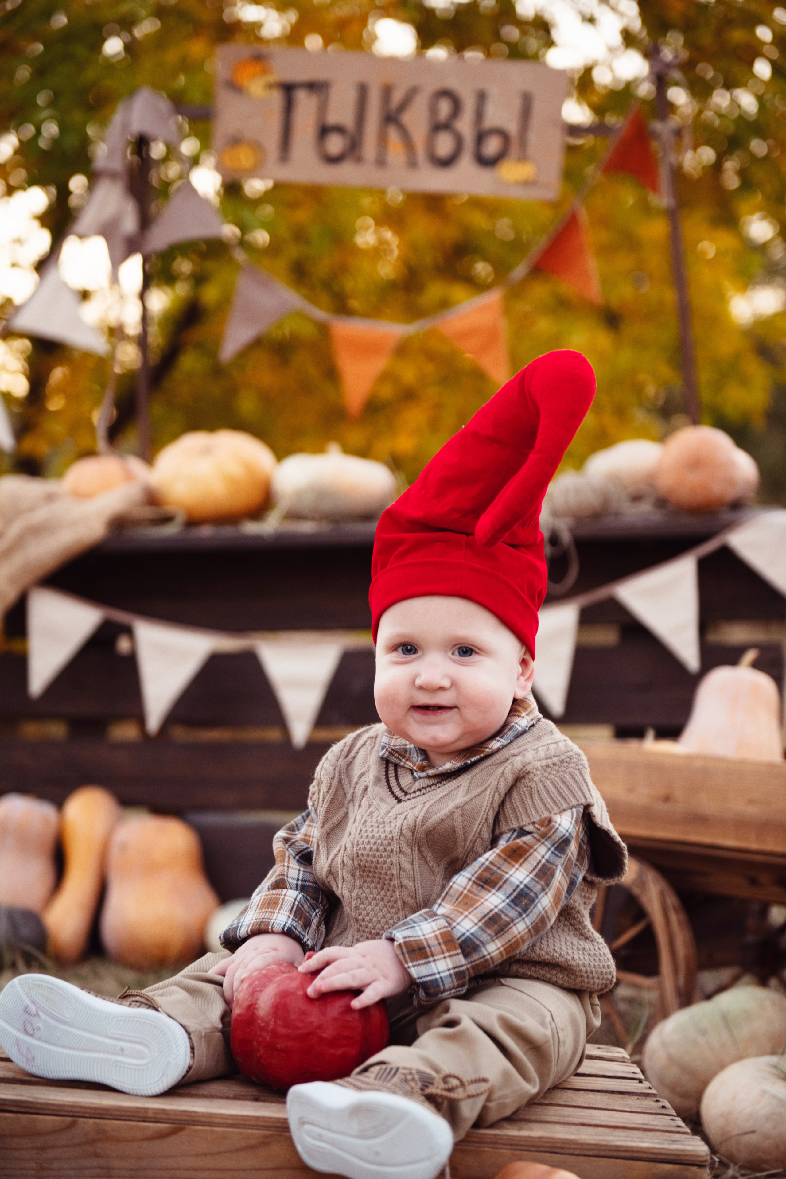 Тыковки. Детский и семейный фотограф в Армавире Даша Зубкова