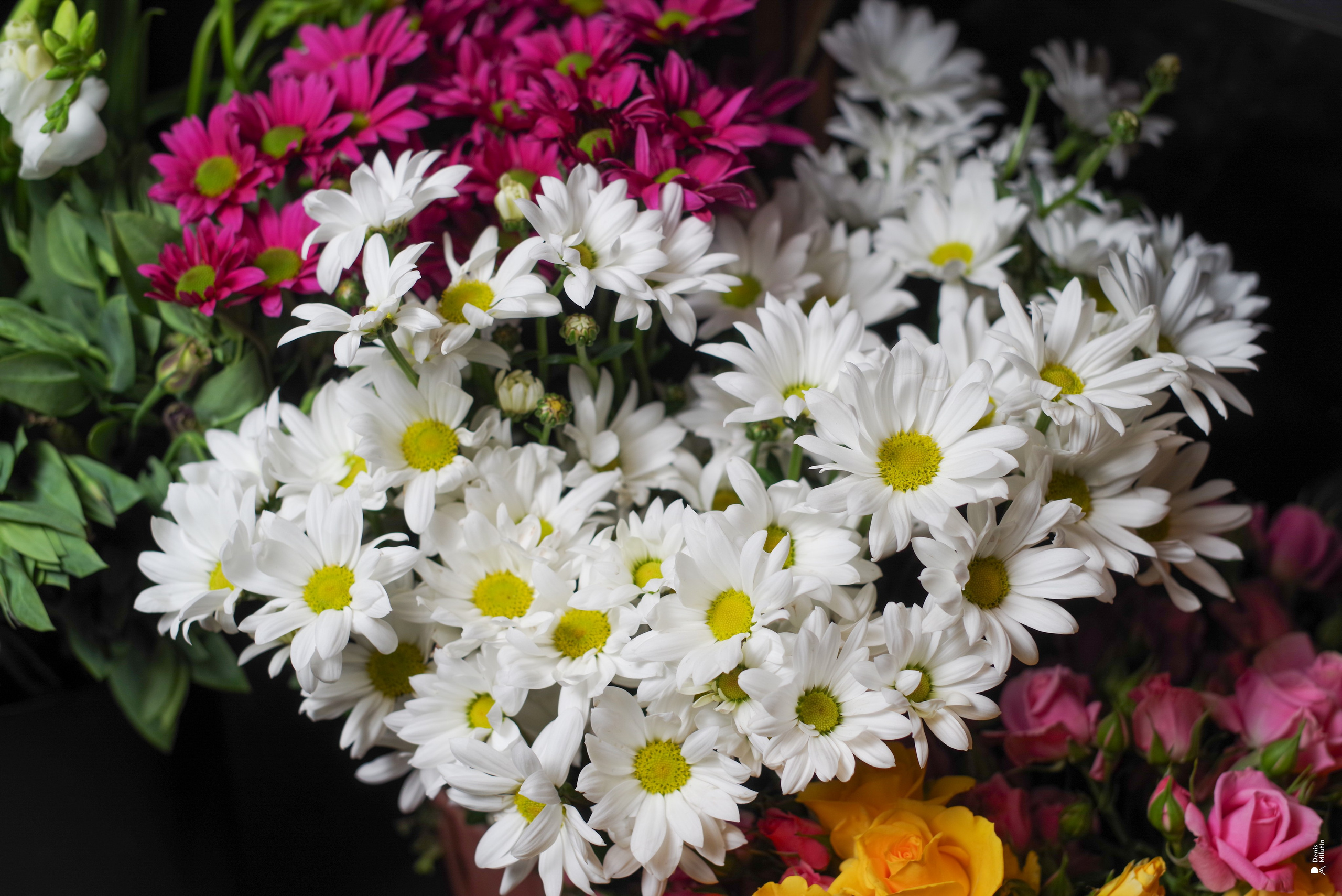 Салон цветов. Портретный фотограф Денис Милютин