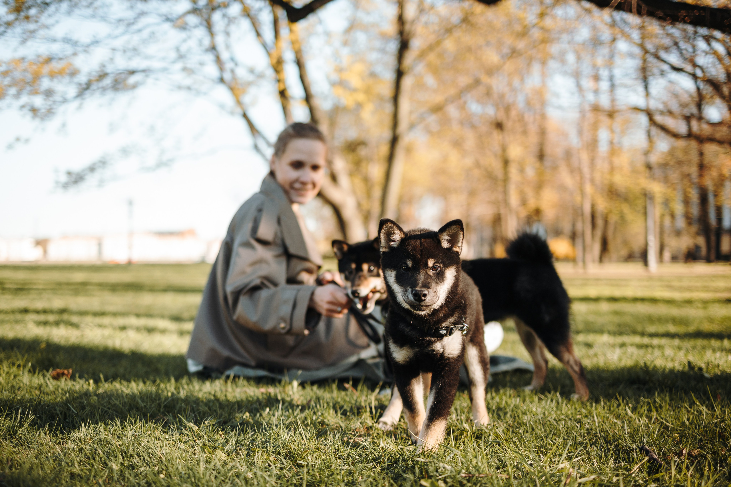 Даша и ее девочки. Фотограф — Анималист | Санкт-Петербург