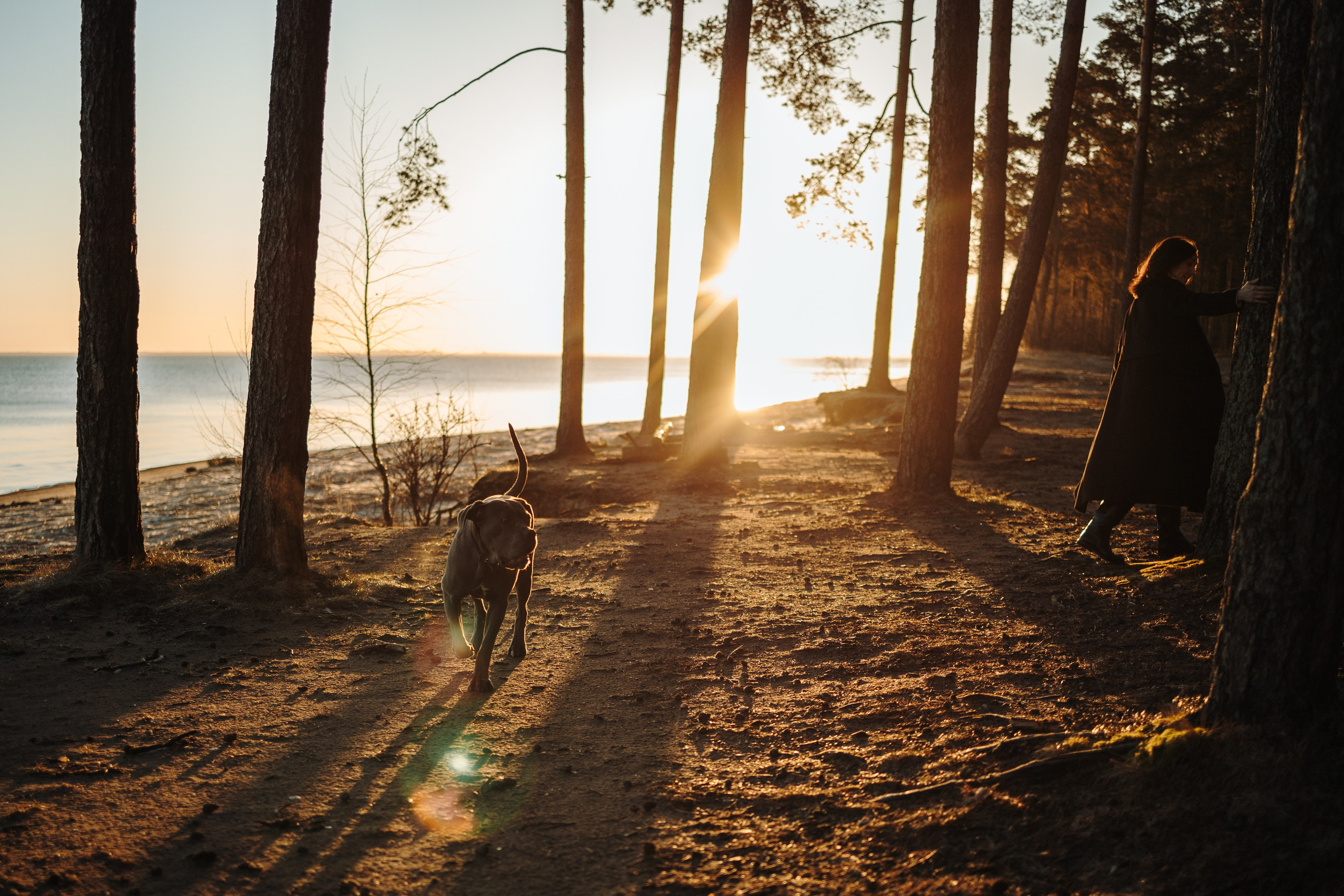 Анна и Лана. Фотограф — Анималист | Санкт-Петербург