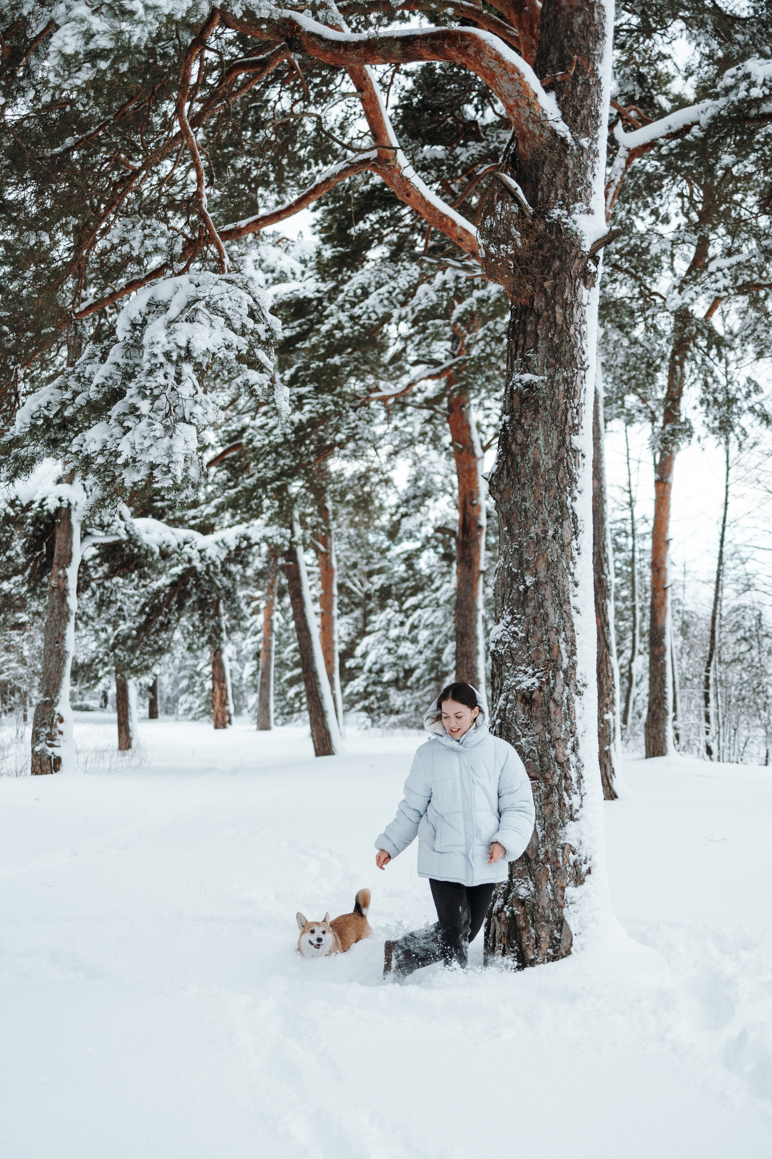 Оливка и ее семья. Фотограф — Анималист | Санкт-Петербург