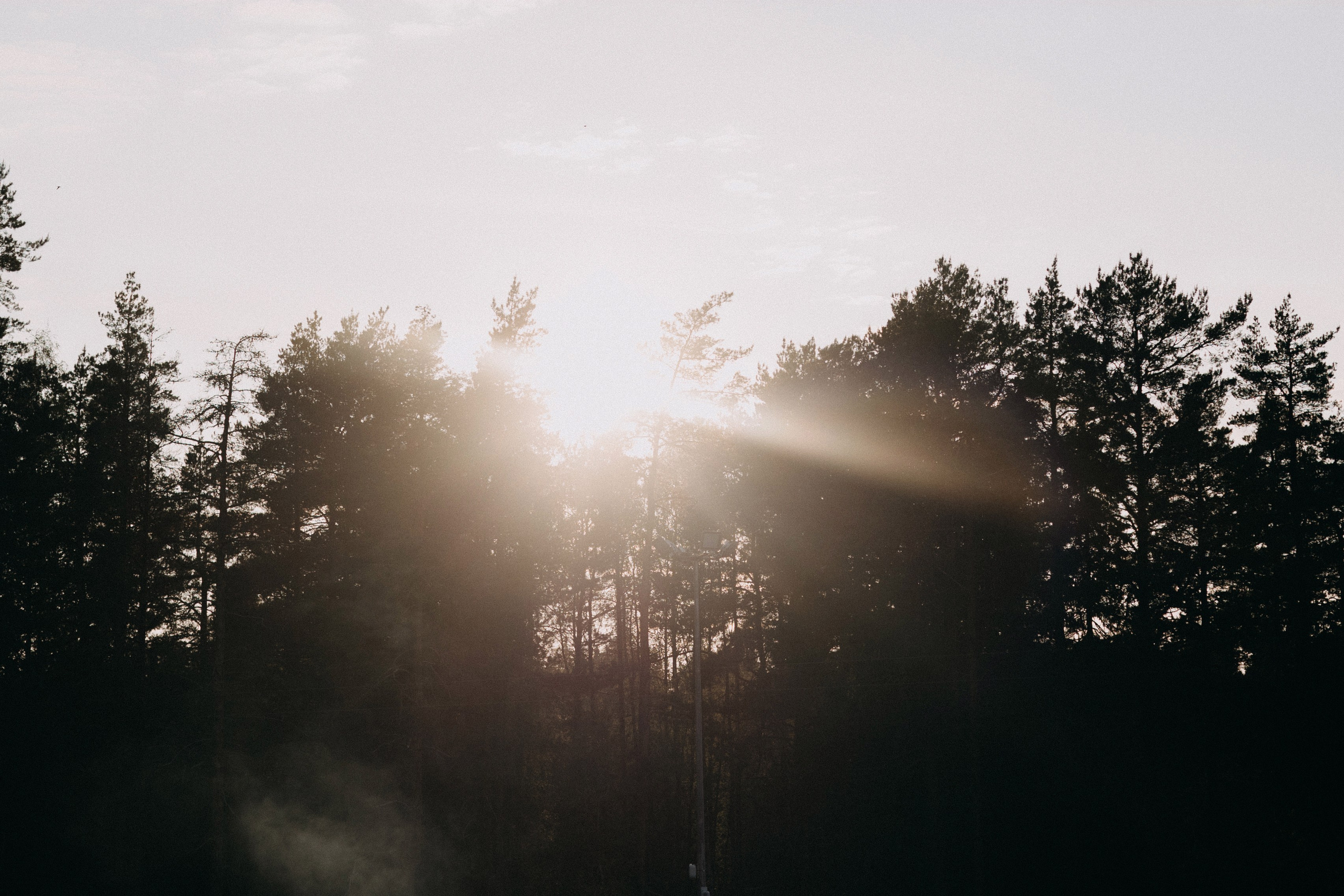 Станислав & Мария. ФОТОГРАФ РОЗА ФИЛИНА СПб I МОСКВА