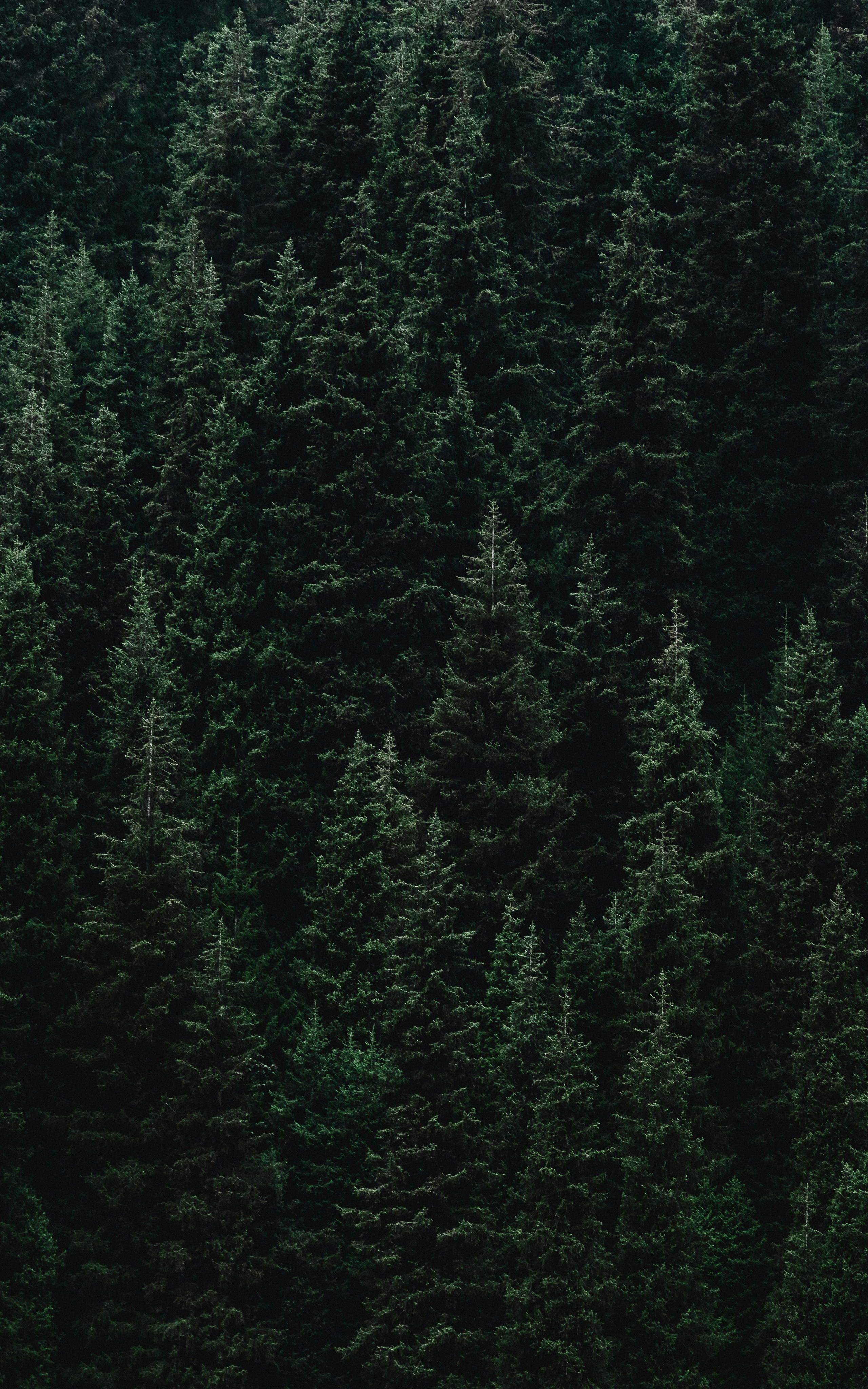 Жизнь. Фотограф Алматы | Весь мир — Никита Колодин