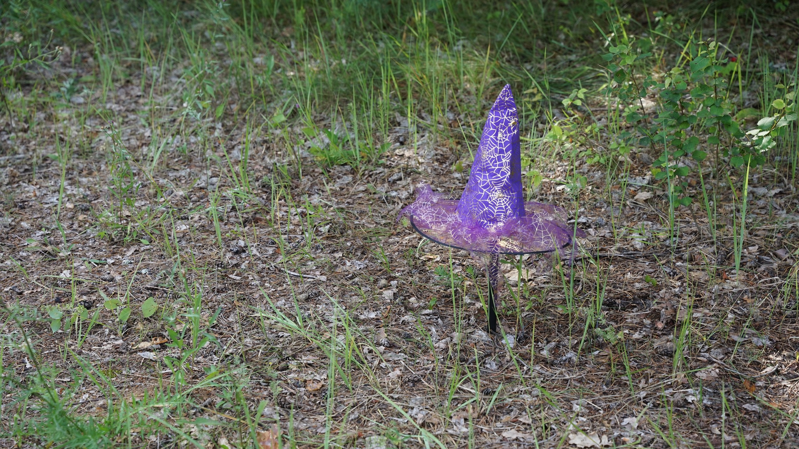 Походная Романтика 42. Проклятие древней поляны | 16-18.07.23. Галерея Фантим