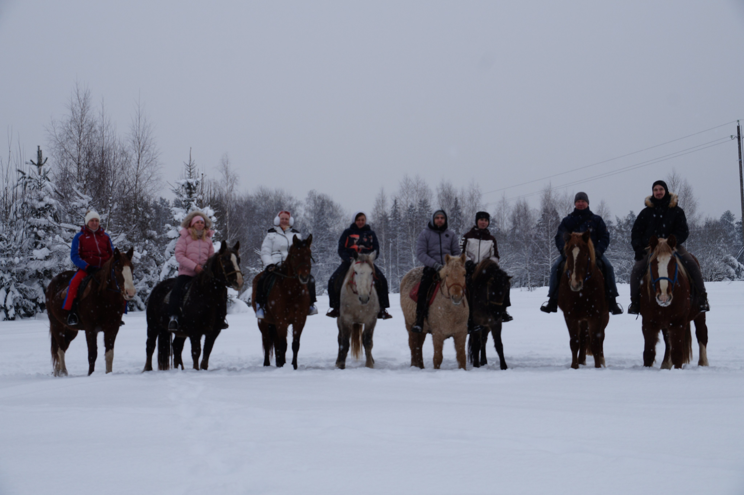Лошадинг | 11.01.2026. Галерея Фантим