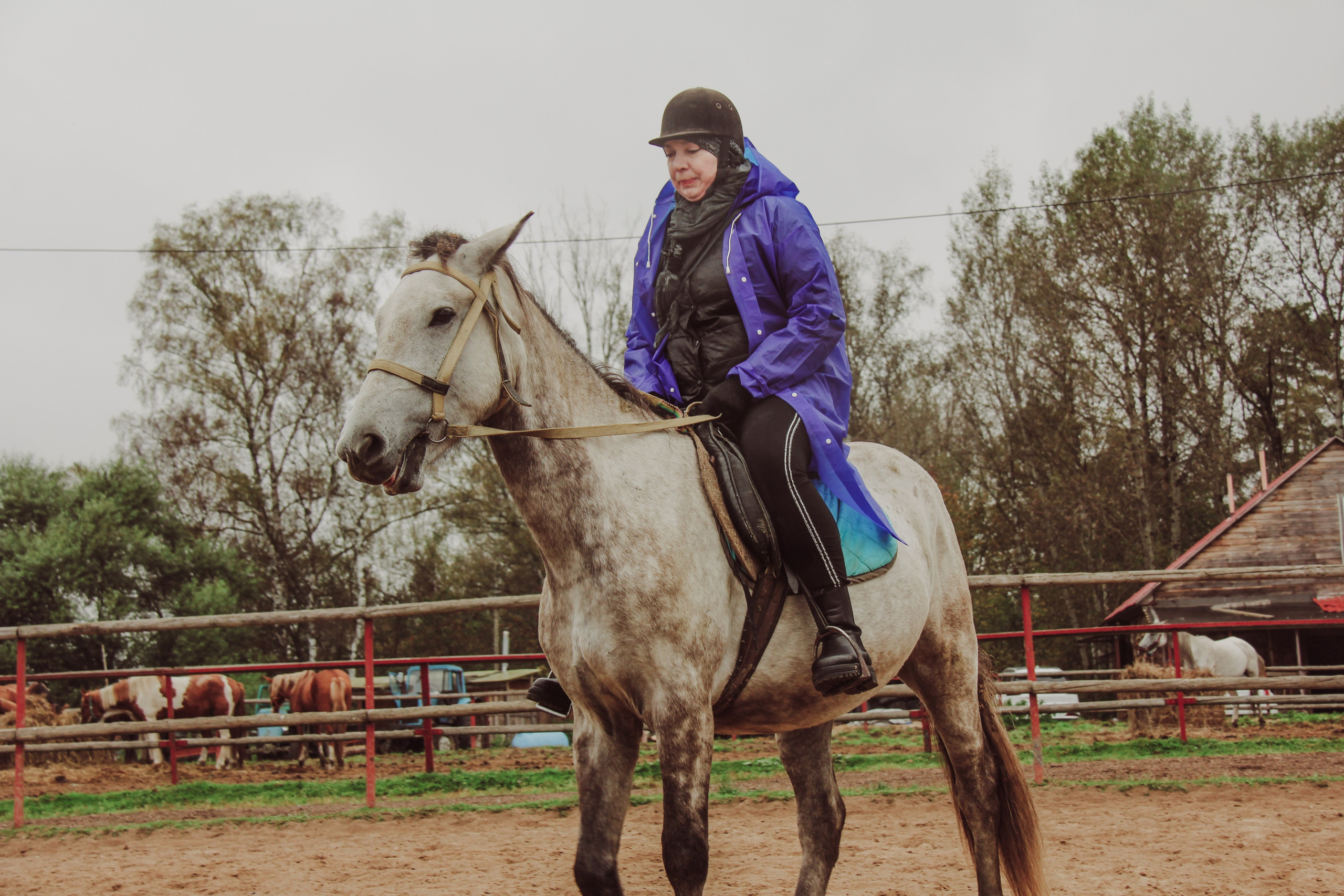 Лошадинг | 27.09.2025. Галерея Фантим