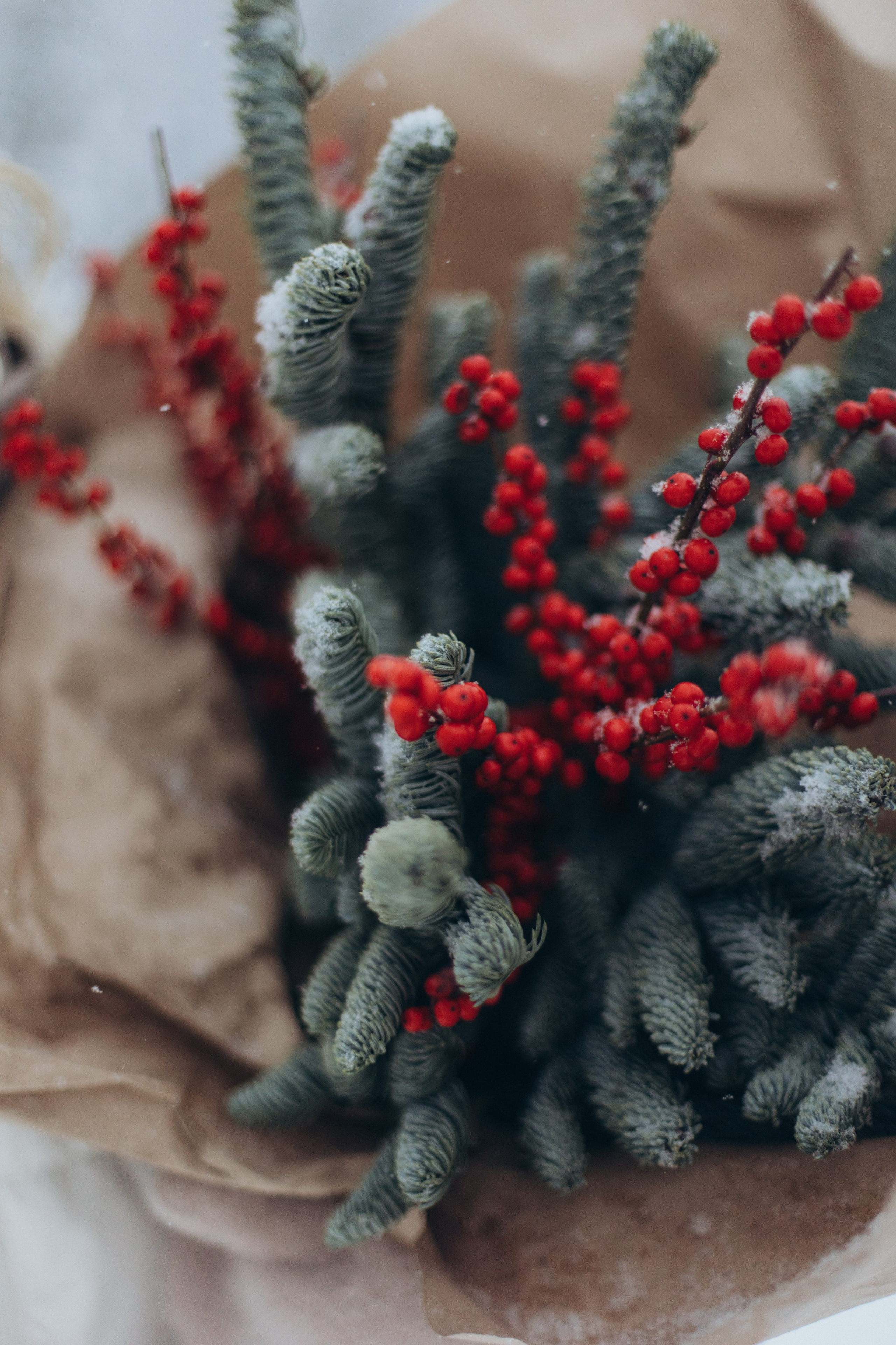 Зимняя история