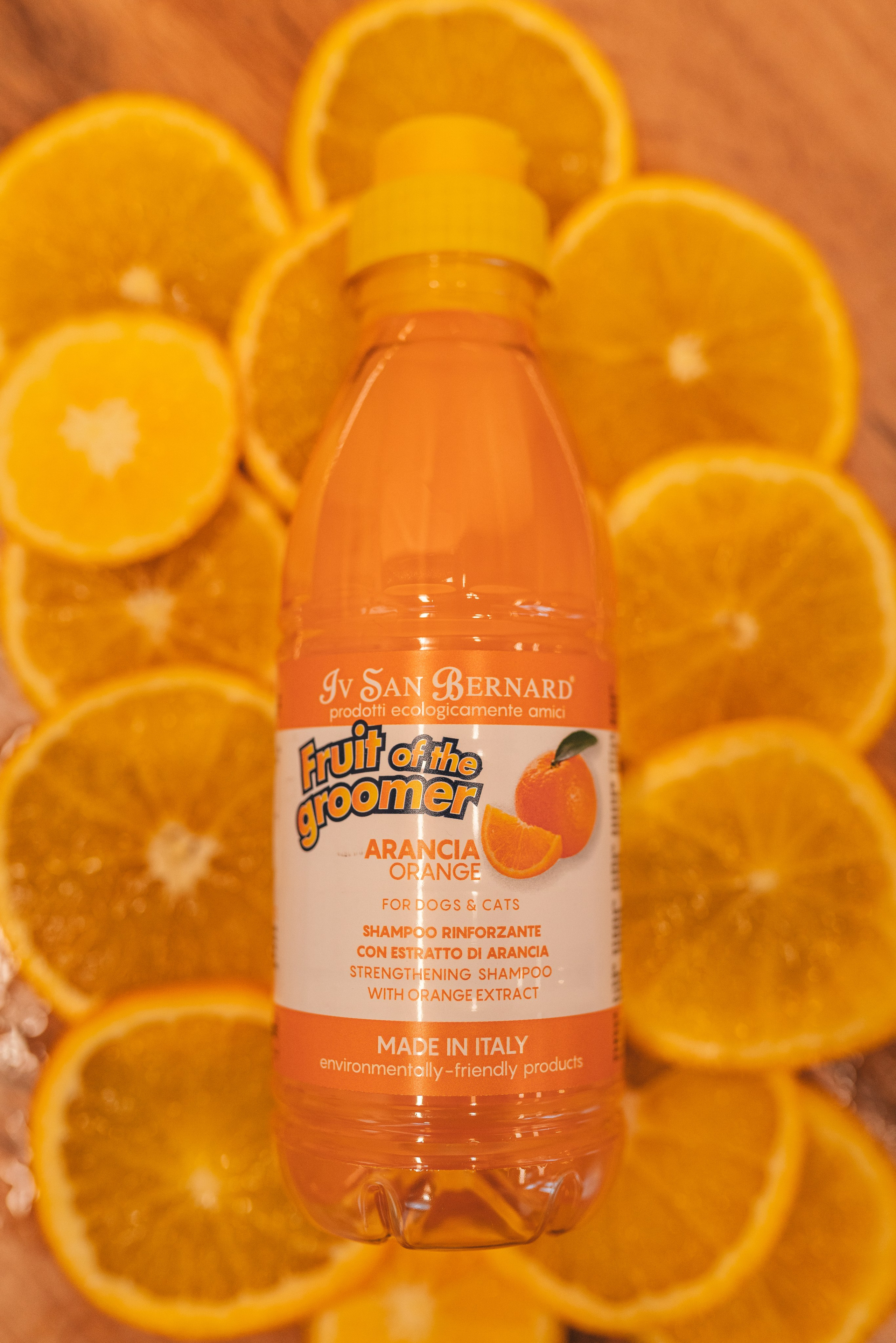 Груминг — салон. Фотограф анималист Осипчикова Мария