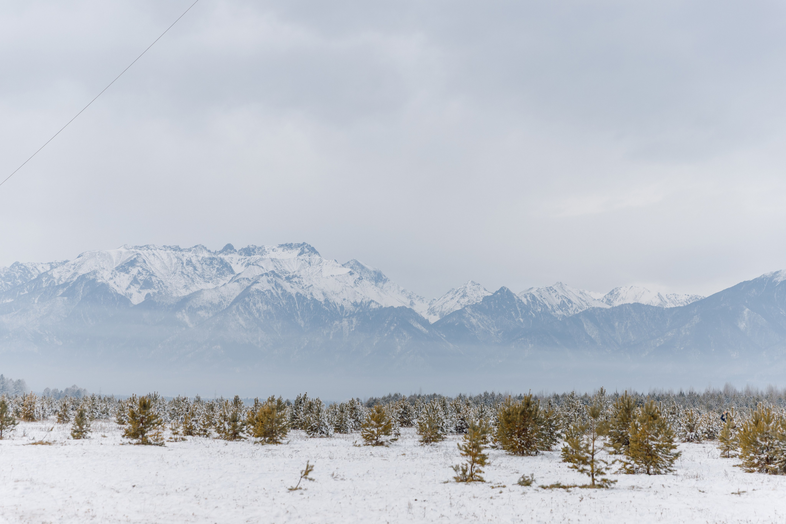 ЯБЛОКИ НА СНЕГУ. Свадебный фотограф Иркутск, репортажный фотограф Иркутск