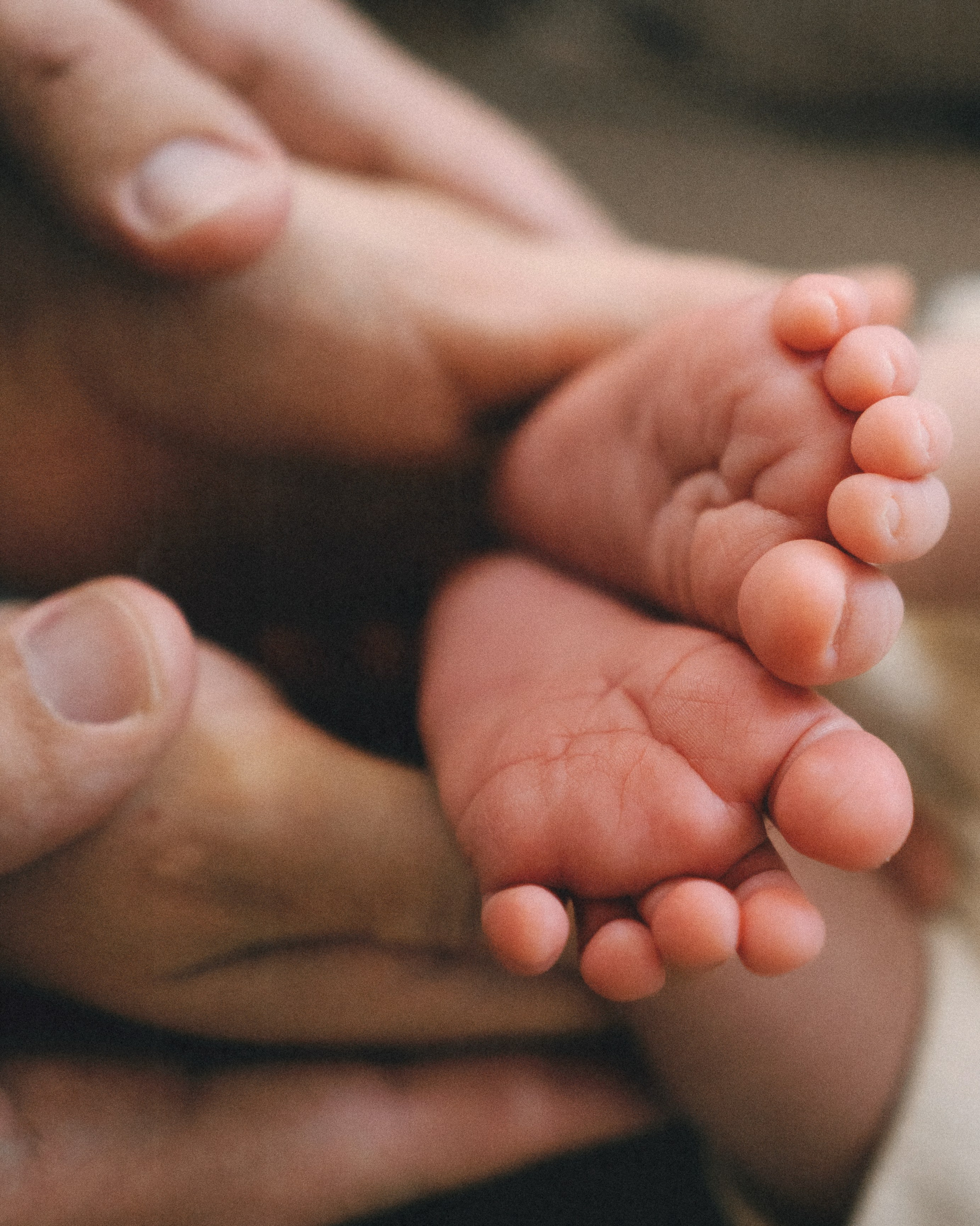 Ванечка. SHILOVA PHOTO. Шилова Екатерина. Фотограф. Москва