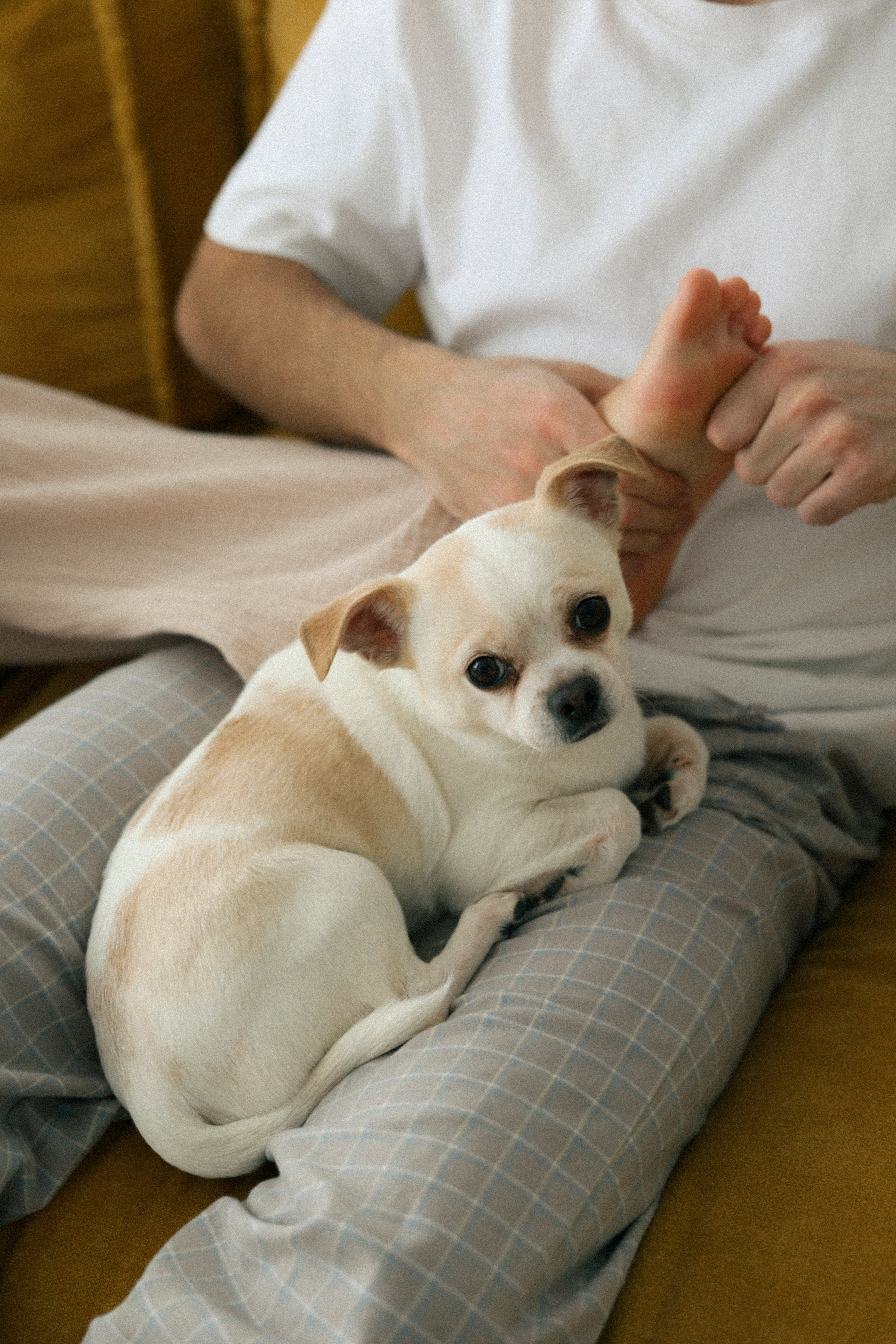 Марьям и Серафим. Фотограф НатаФото (Наталья Яковенко) Дмитров Москва Питер
