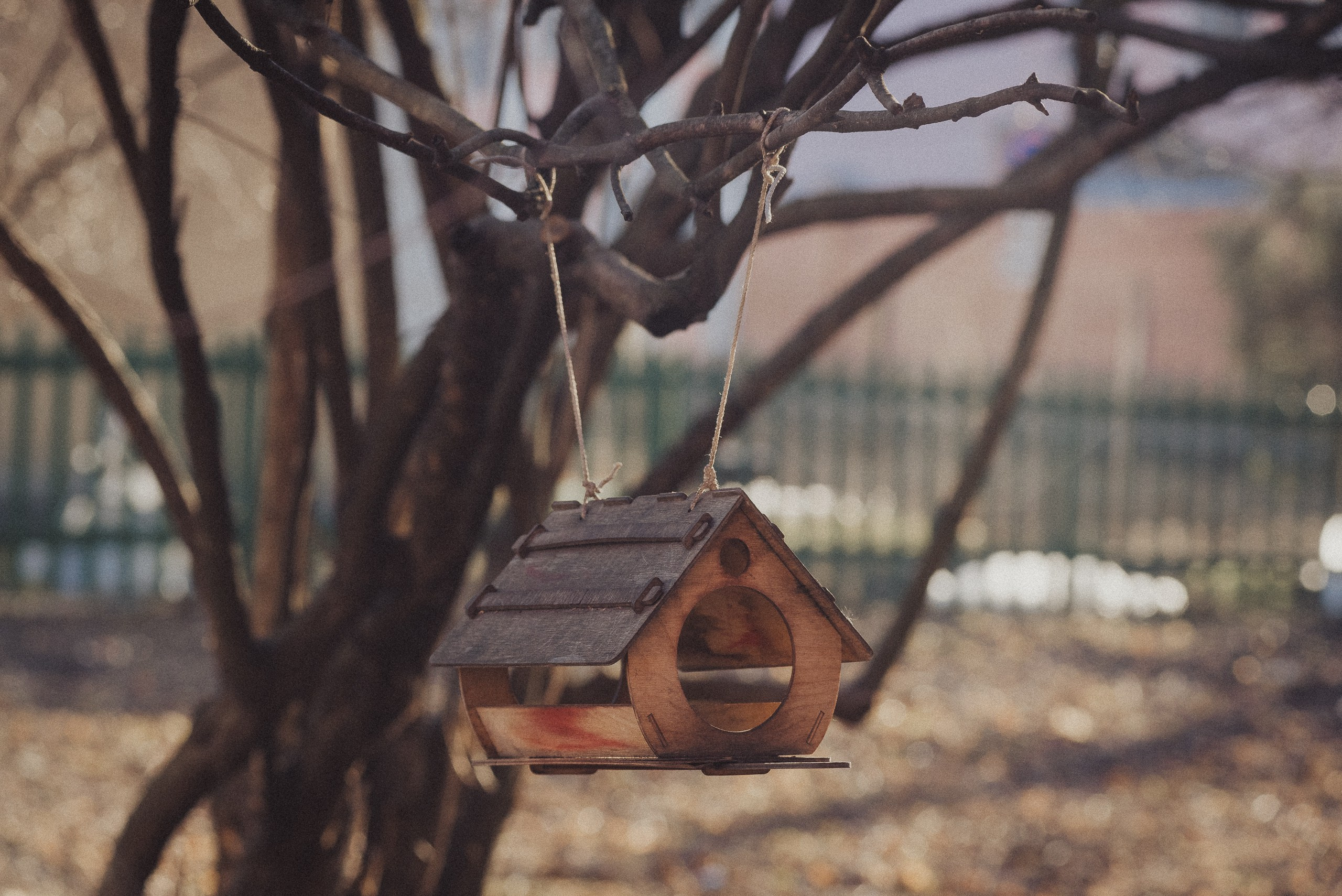 Проект #улицыгорода. Ярославль, улица Лизы Чайкиной. Документальный фотограф Илья Тихановский