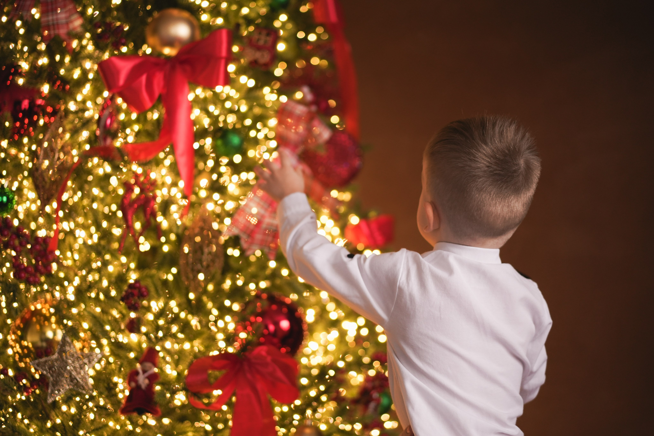 Виктория Александр. Свадебный и семейный видеограф в Москве Гера Филатов