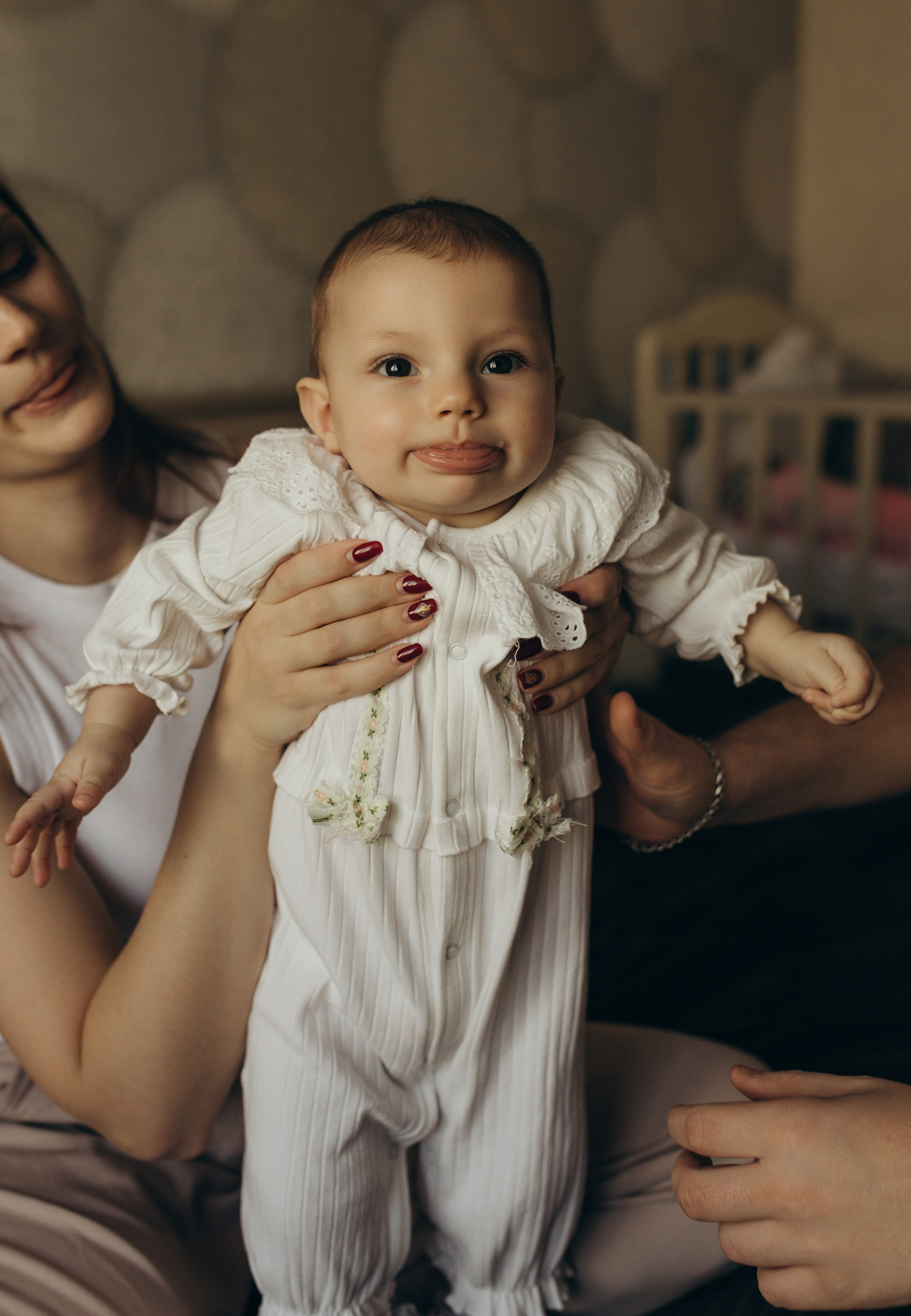 Домашняя история. Meryfotoidea