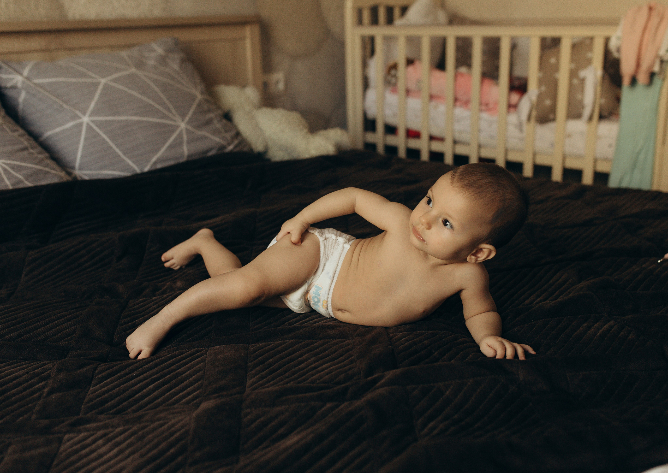 Домашняя история. Meryfotoidea