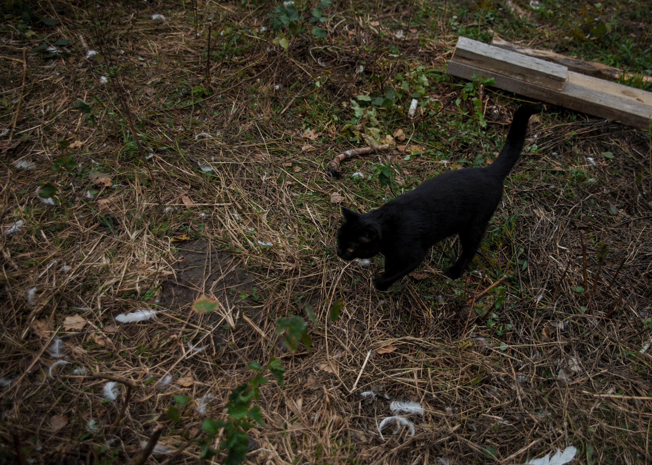 Backstage со съёмок фильма «Reverenсе». Портретный фотограф в Москве Дарья Цезария