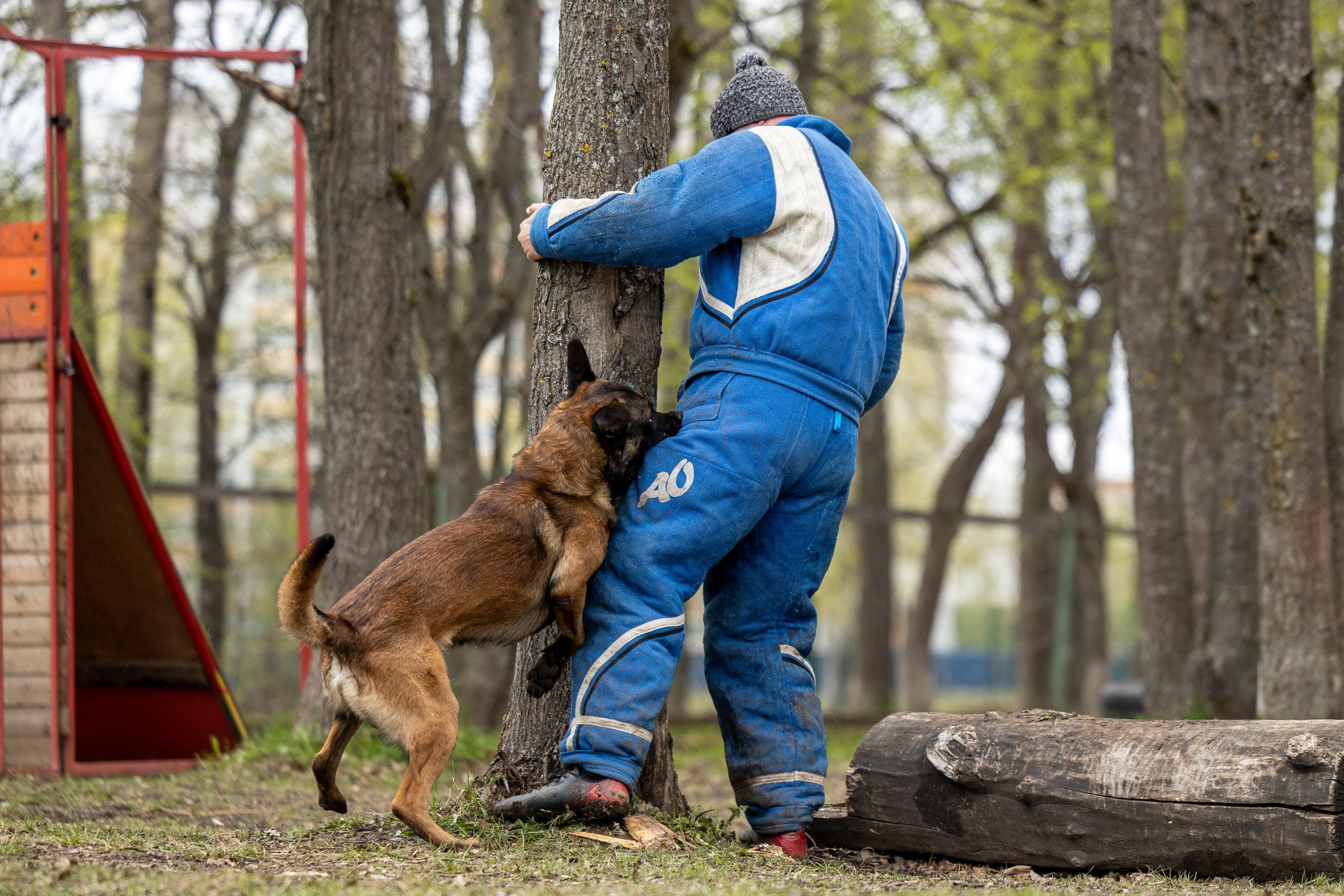 Квалификационные состязания по мондьорингу г. Вологда 11.05.24. Фотограф-анималист Анна Маринич