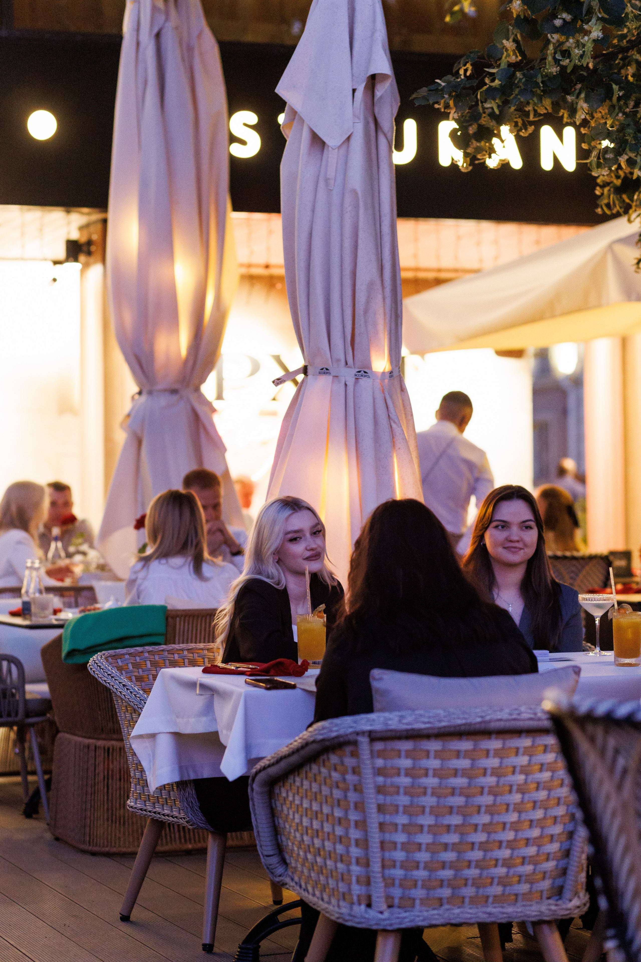 Бархат открытие летней веранды. Https://andreysolodov.ru