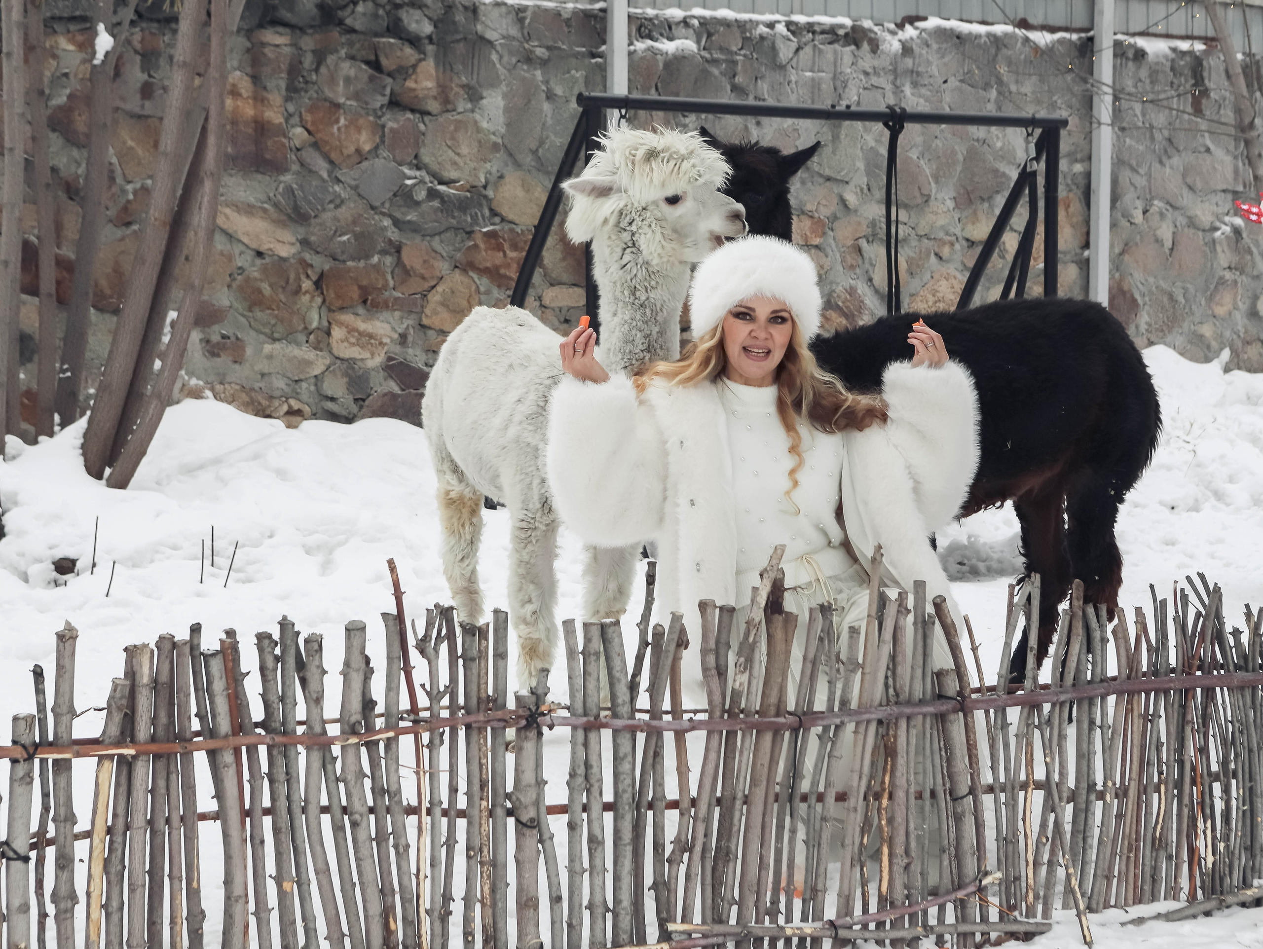 Альпак кафе. Профессиональный фотограф на любые случаи жизни
