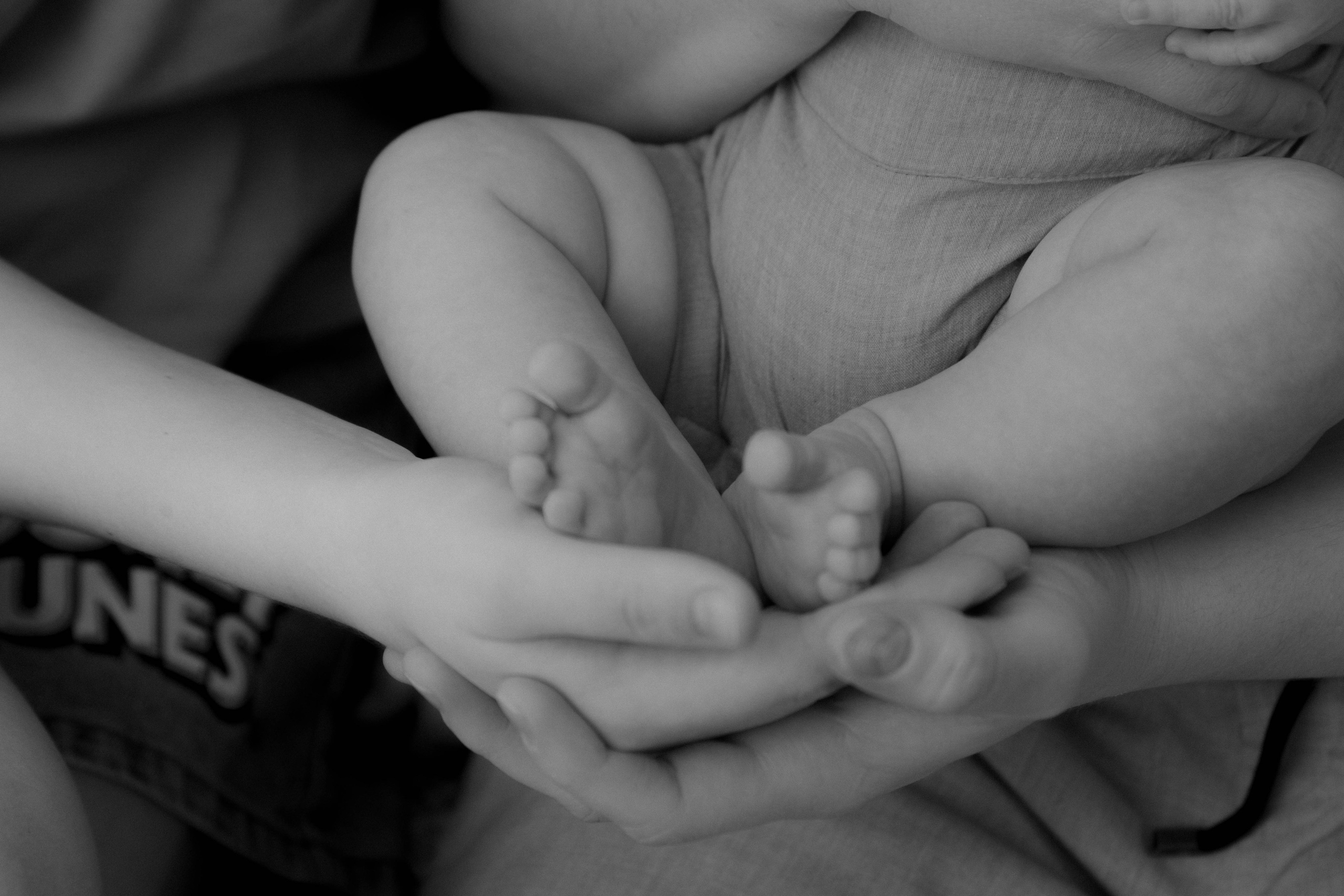 Только вы и ваш дом. Главная