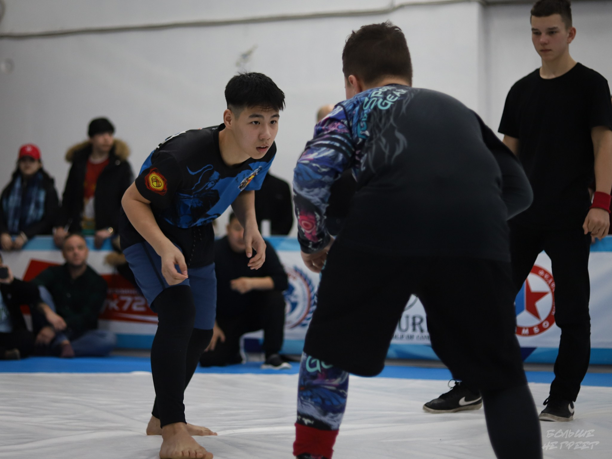 GORILLA PRIDE CUP. Больше не греет