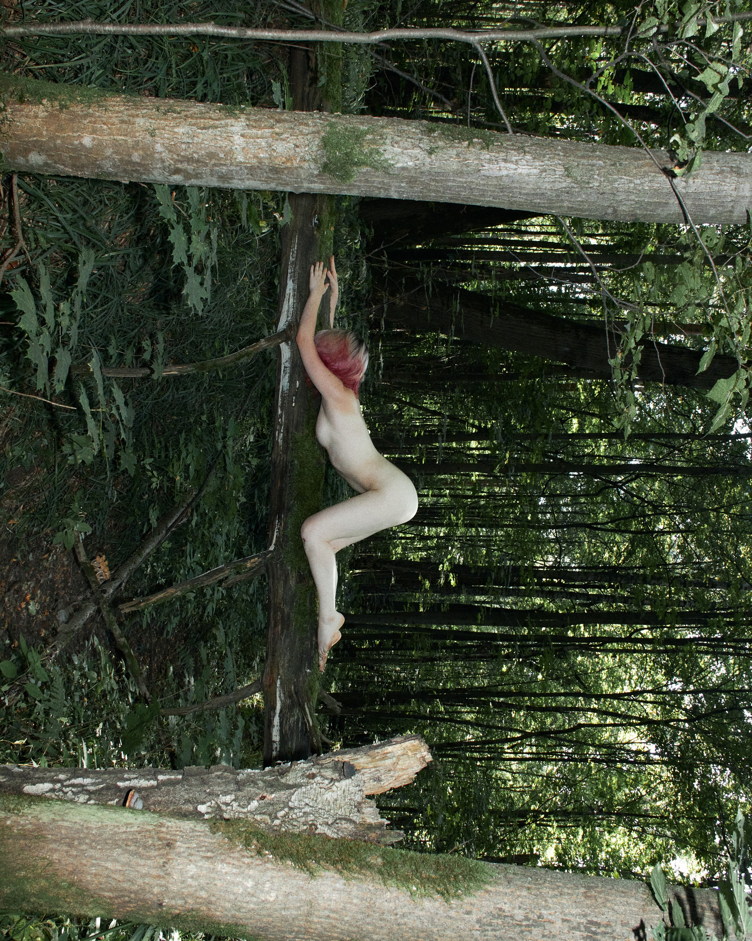 ALENA. Andrew Valmus