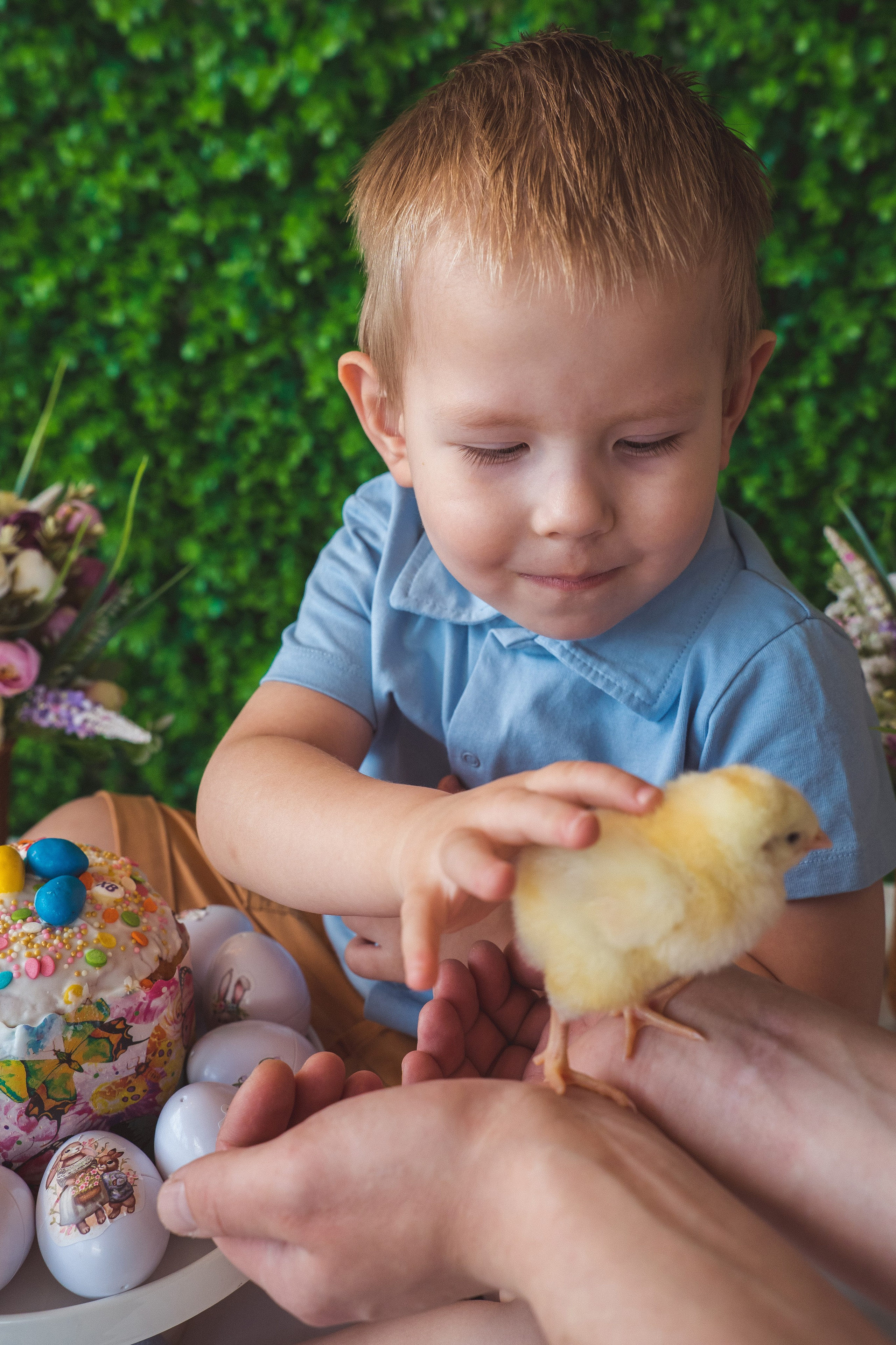 Пасхальный фотодень с цыплятами и кроликами. Фотограф Маргарита Слободянина в Хабаровске