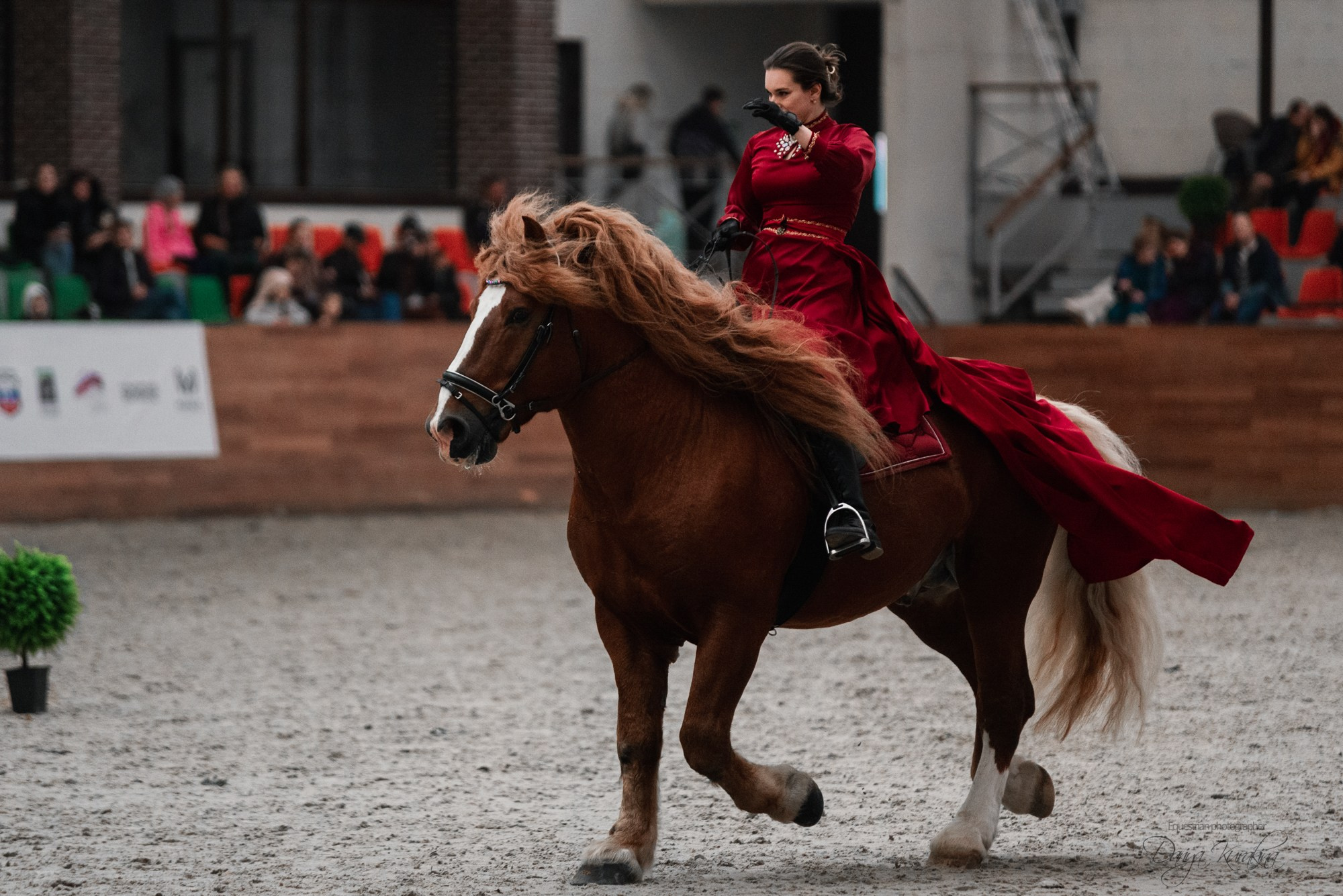 8-я международная выставка Конная Россия. Конный фотограф Куракина Дарья • Фотосессии с лошадьми