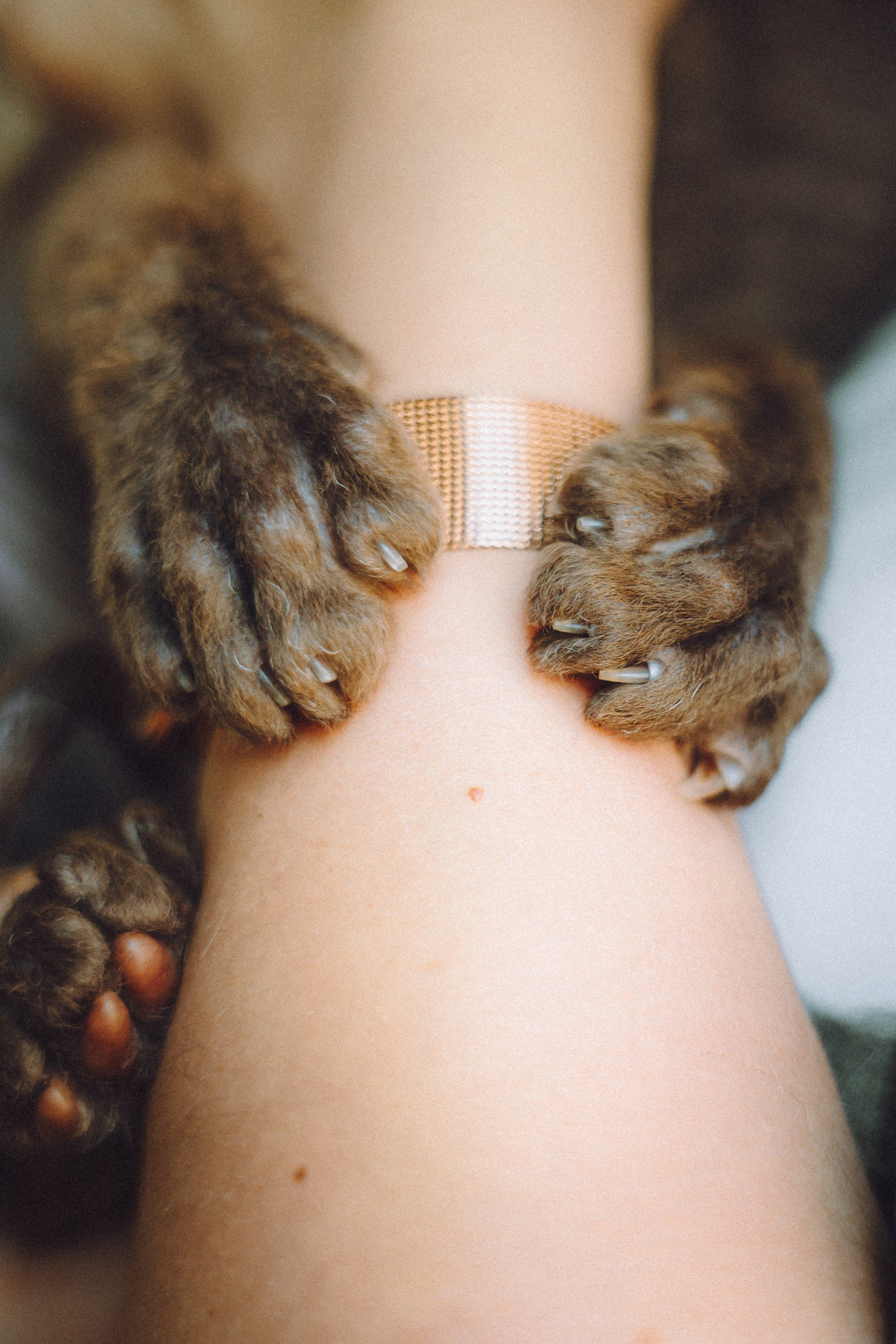 Кокос, Света, Динара и Вилли