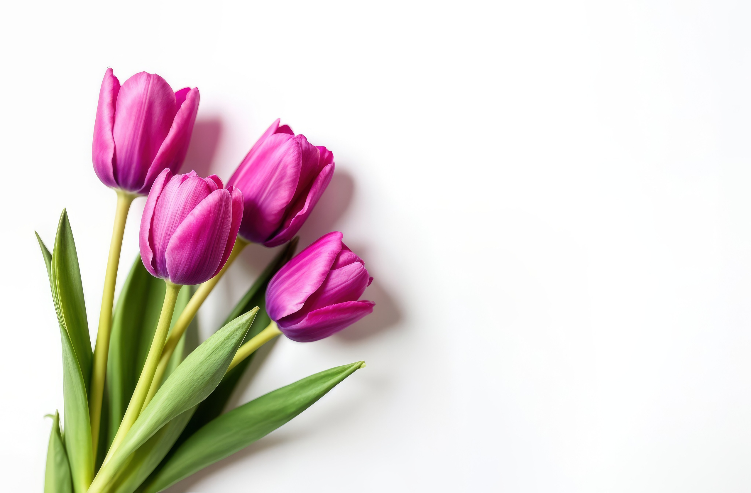 Стоки ИИ. Репортажный фотограф Александр Задорин, Минск, Беларусь