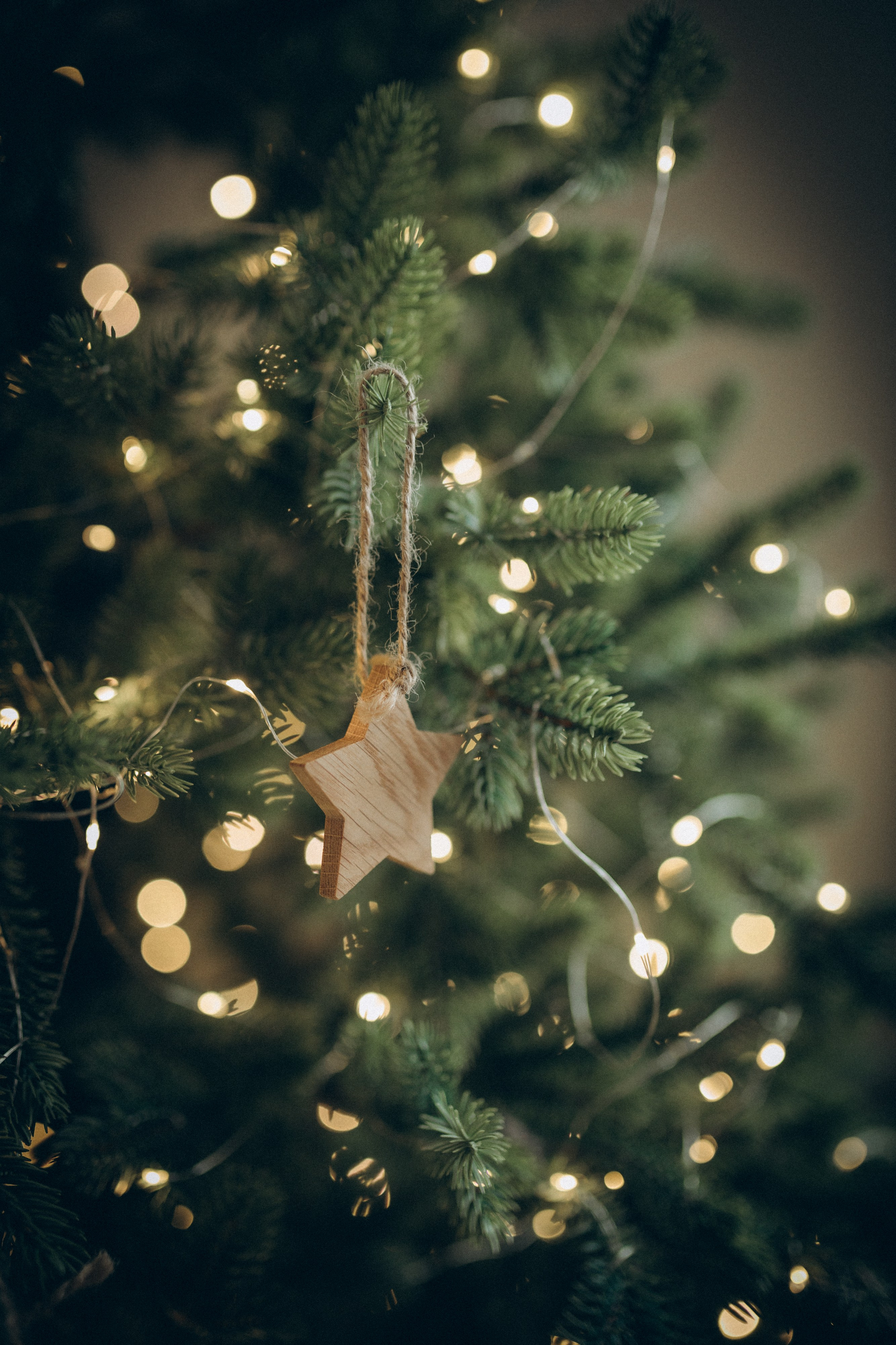 Family story. Семейный фотограф и фотограф на роды в Ростове-на-Дону Мухина Виктория