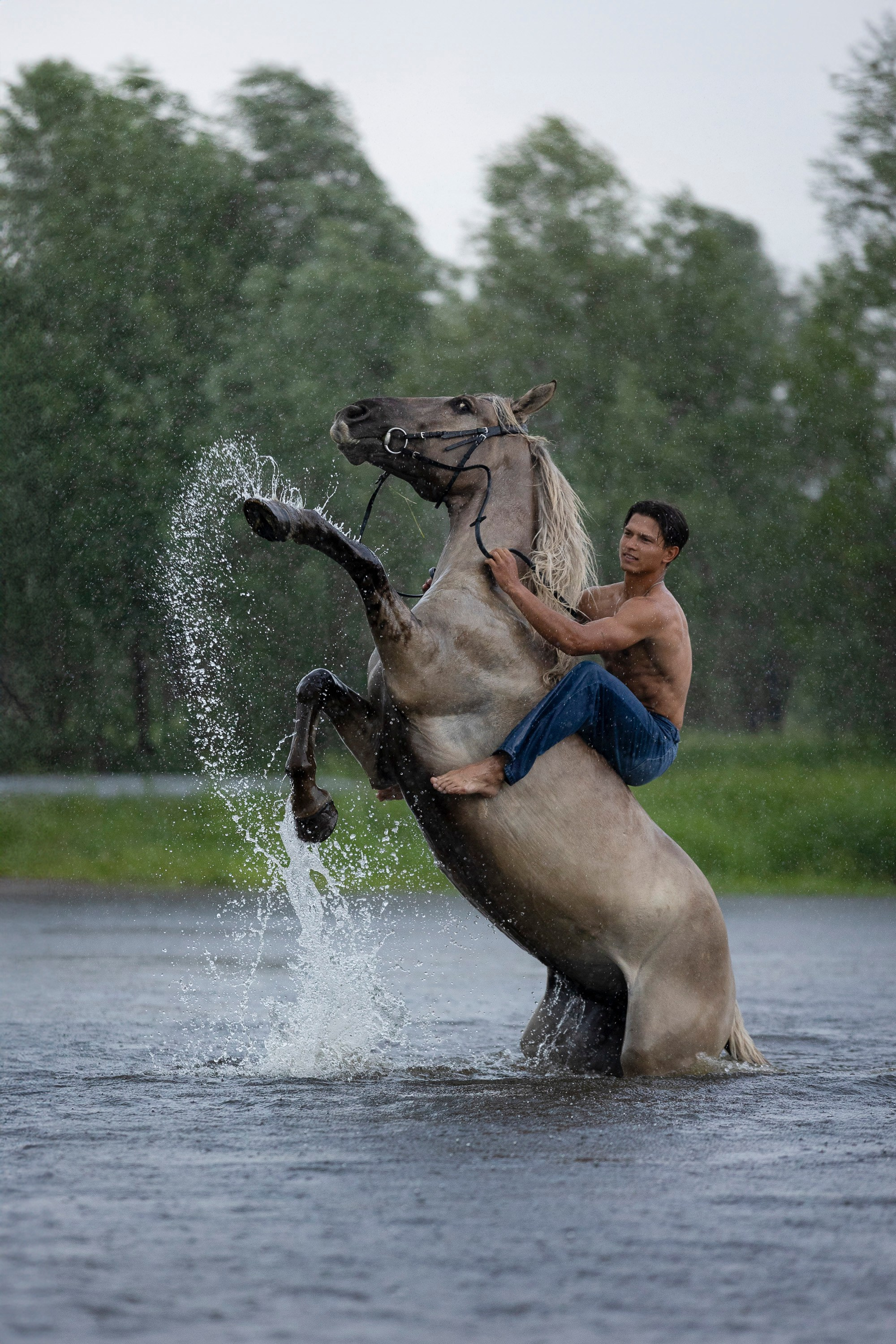 Аванпост. Фотограф анималист, семейный фотограф, фотограф собак Комратова Мария. г. Москва