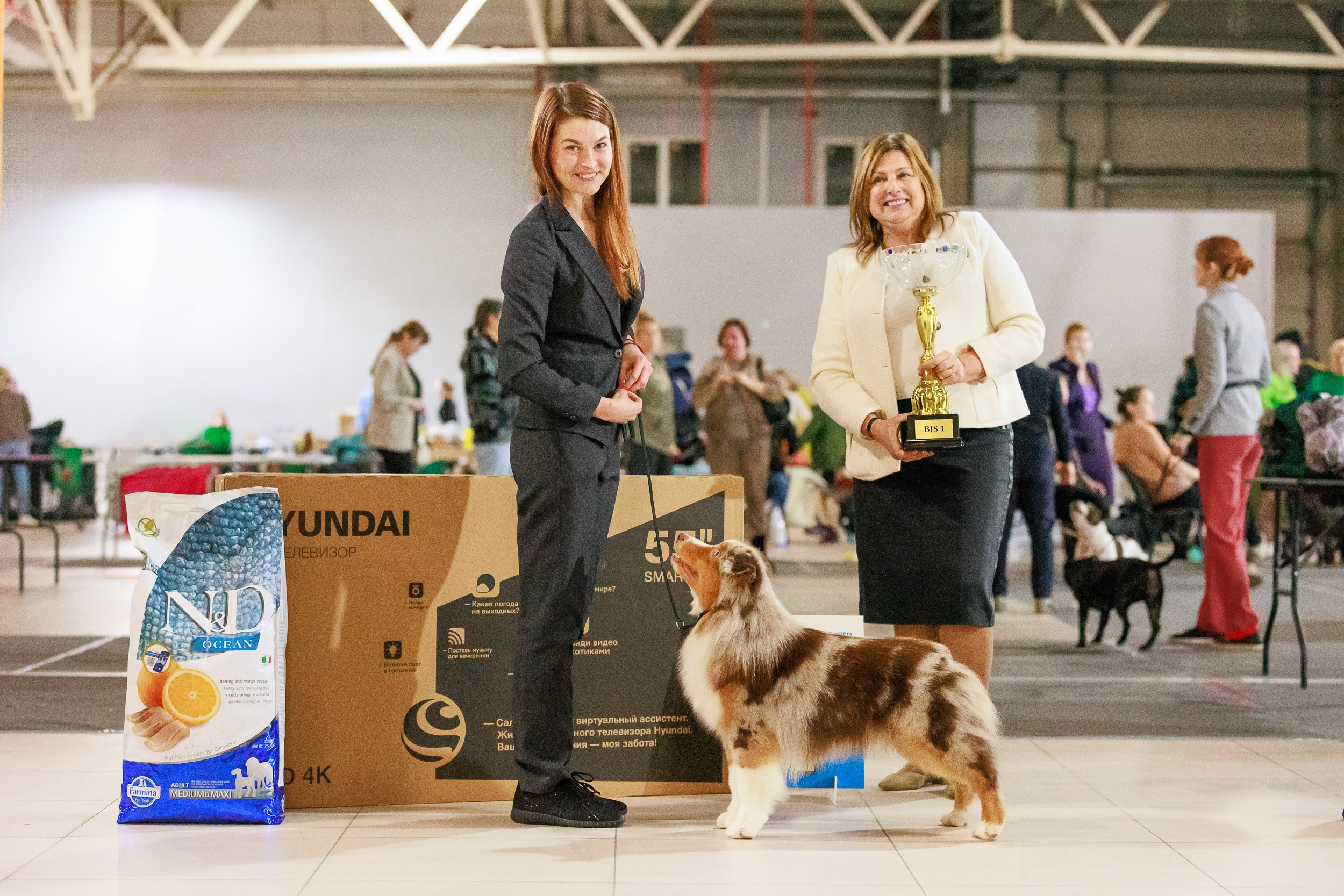 Бронницы. Фотограф анималист, семейный фотограф, фотограф собак Комратова Мария. г. Москва