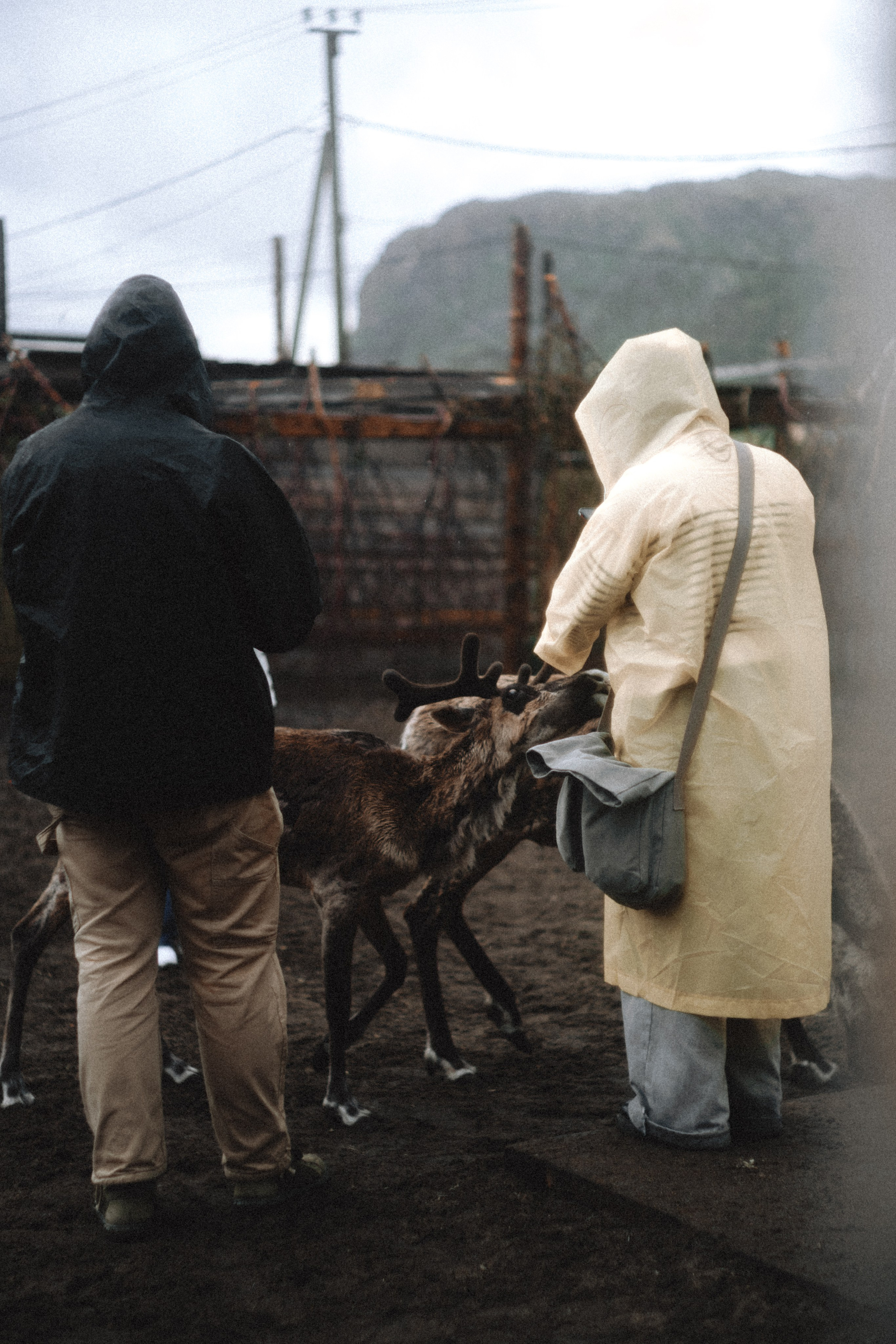 Териберка, Мурманск. Фотосъёмка для компании по организации туров в коллаборации с Яндекс 360