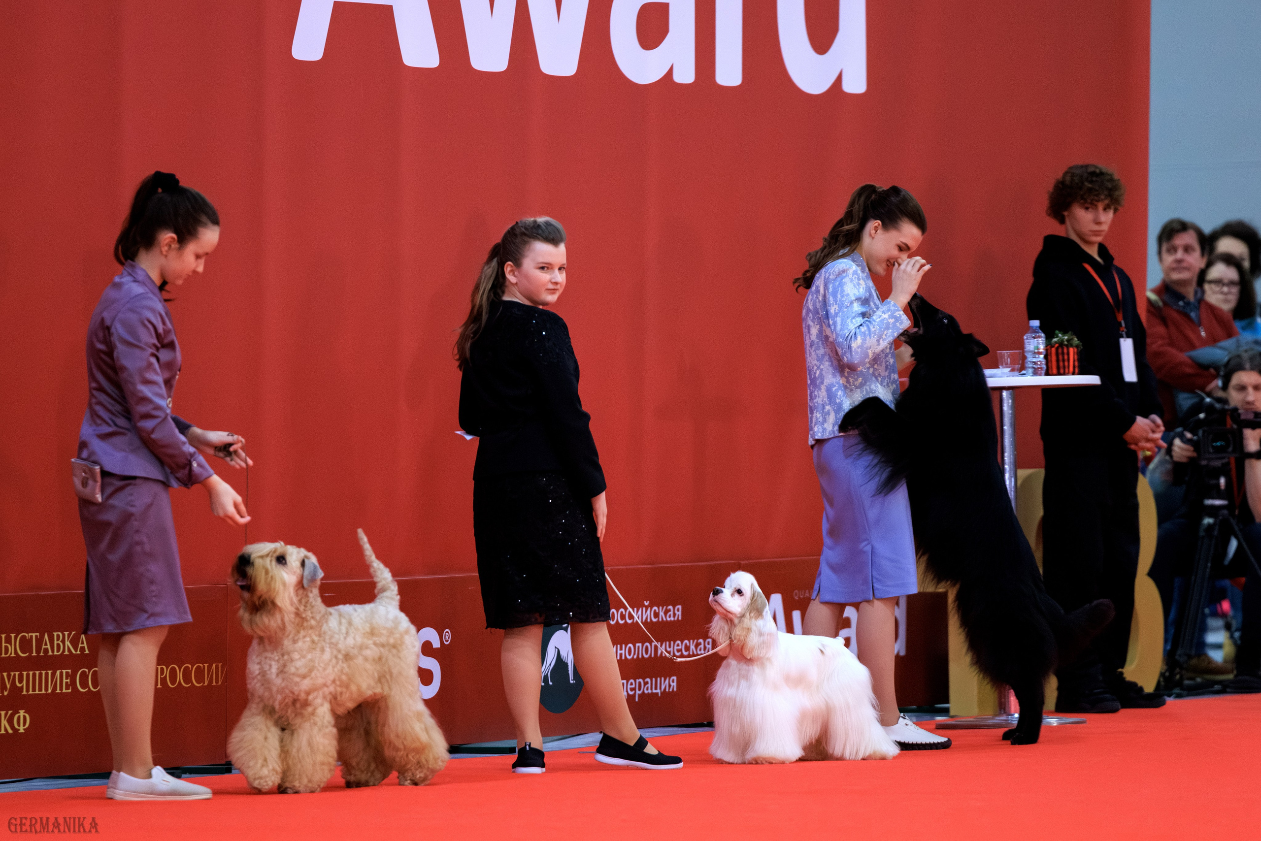 Лучшие Собаки России 17-18.02.2024. Фотограф-анималист Юлия Германика