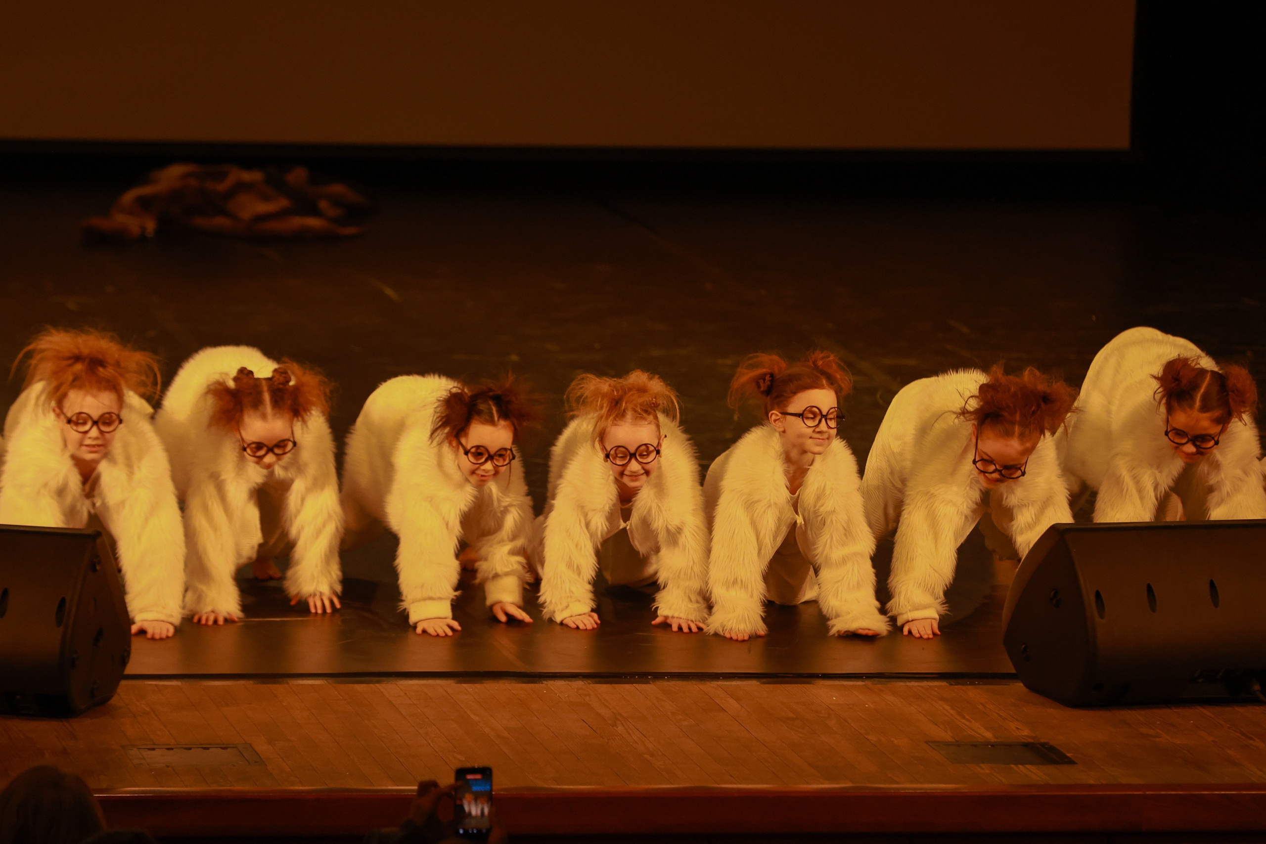 Небесные ласточки на Танц ЭКСПО 2026. Фотограф Юлия Мальцева