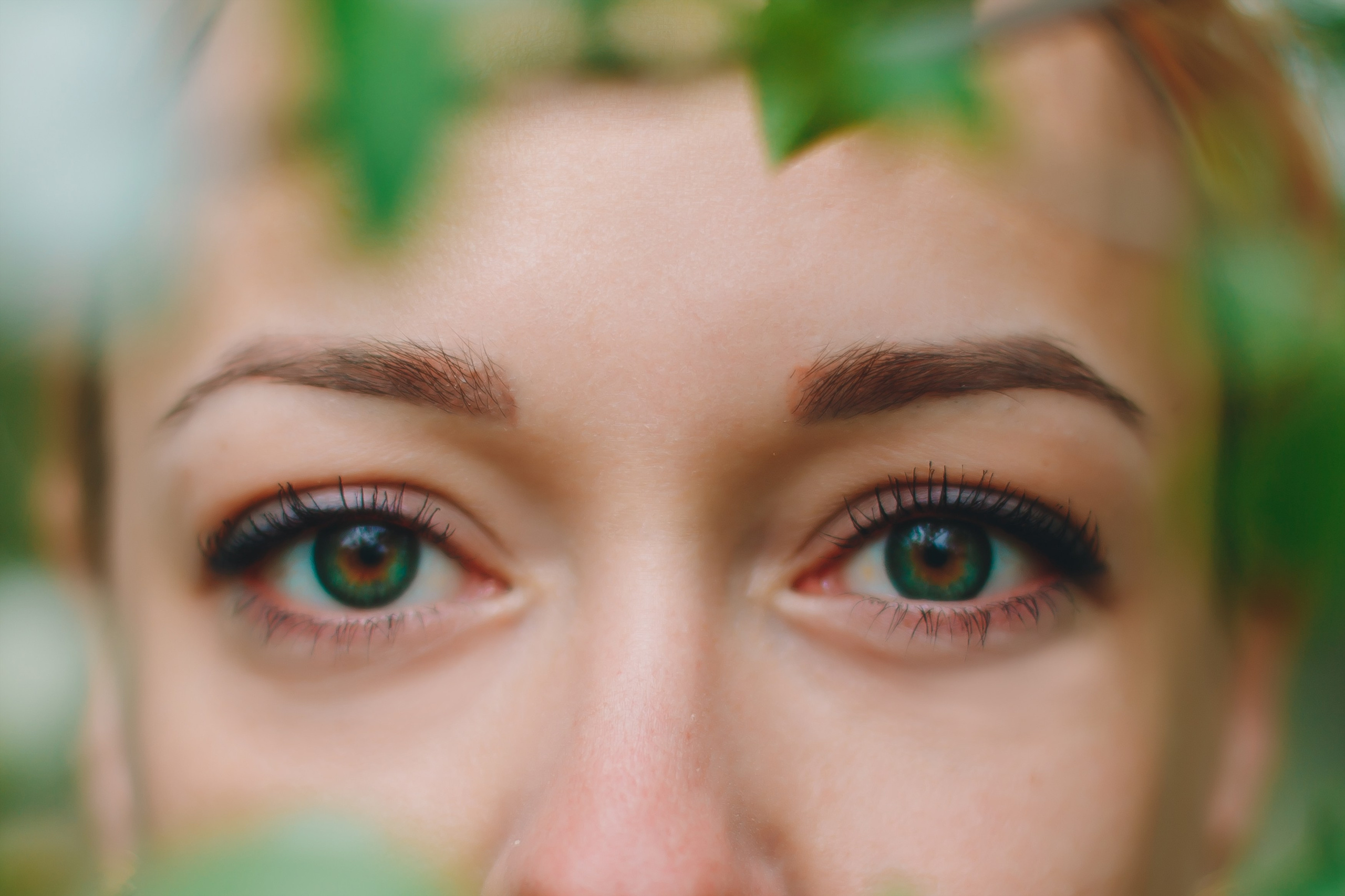 Яблони. Фотограф в Абакане Николай Окунев