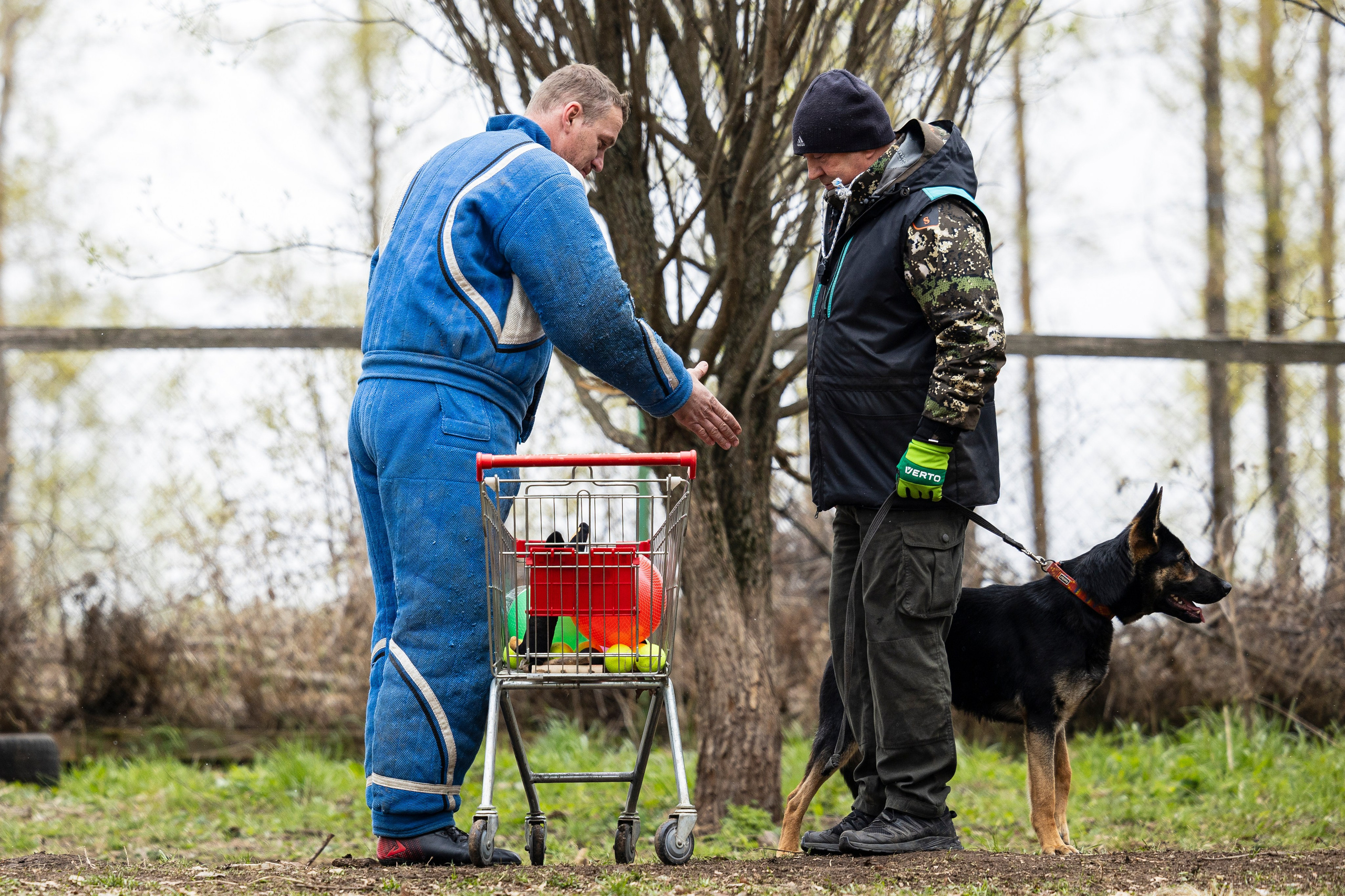 Квалификационные состязания по мондьорингу г. Вологда 11.05.24. Фотограф-анималист Анна Маринич