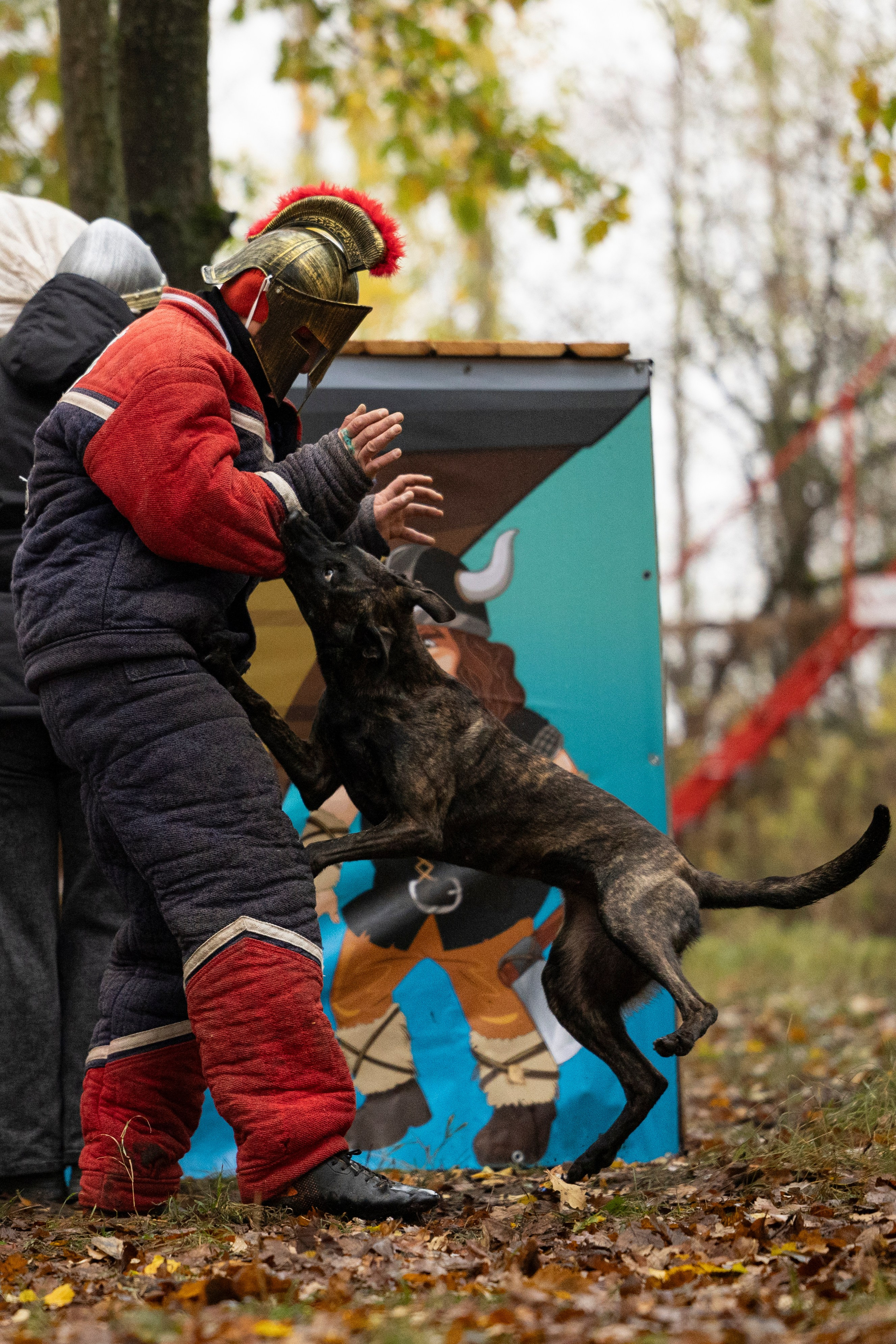 Соревнования по Мондьорингу г. Вологда. Фотограф-анималист Анна Маринич