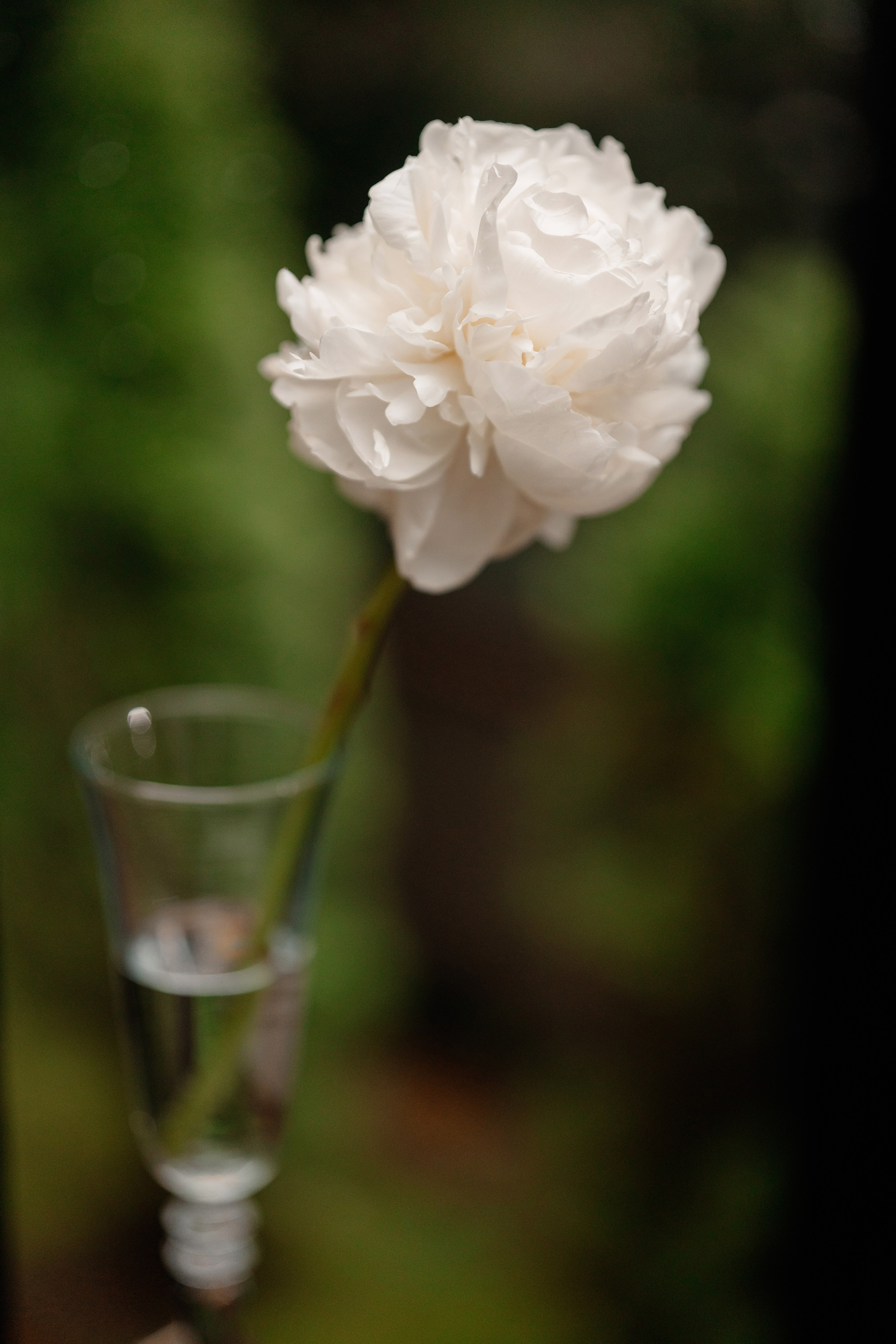 Елисей и Виктория. Свадебный и репортажный фотограф в Москве Андрей Вайман