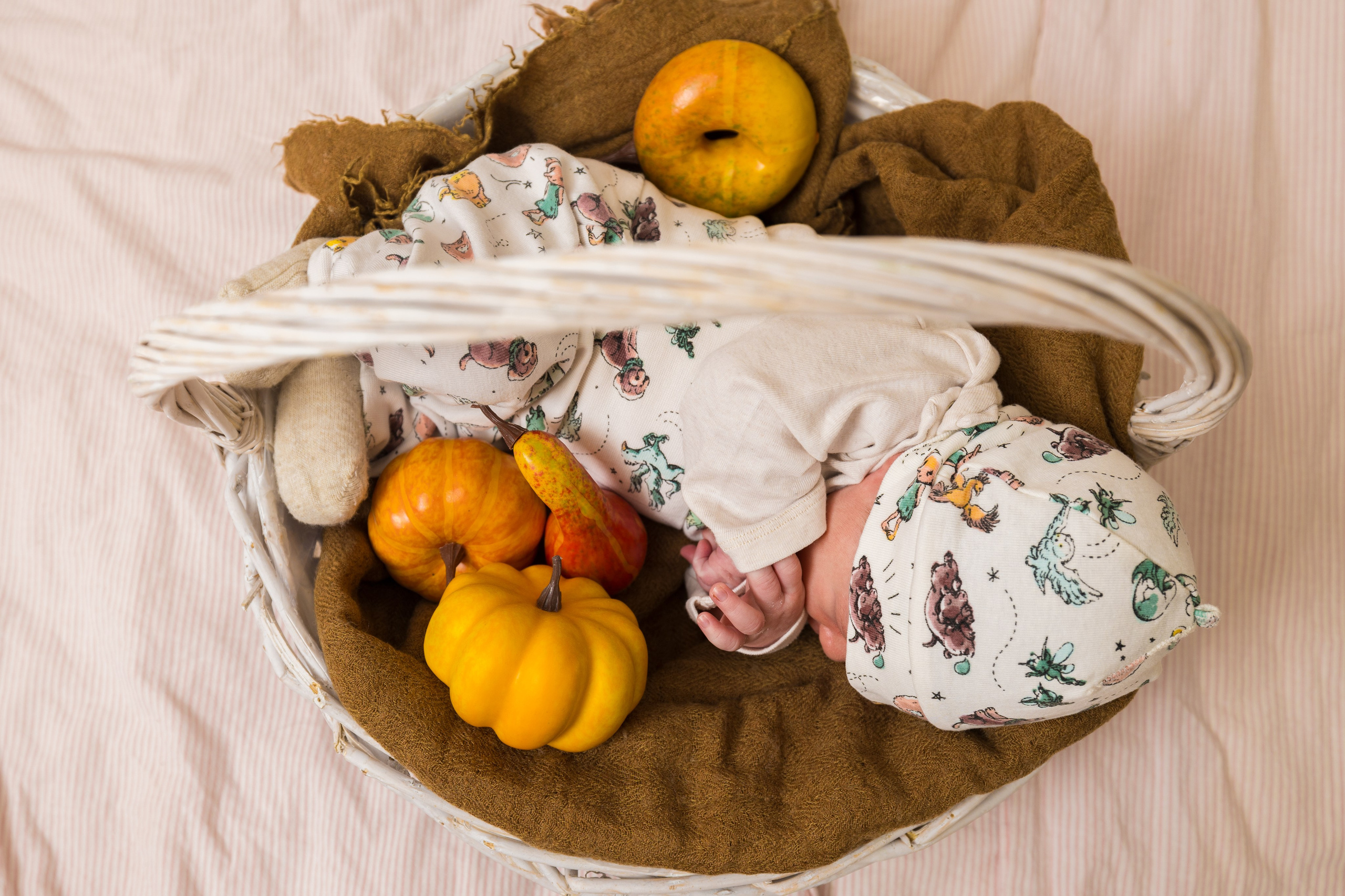 Newborn. Photomantis