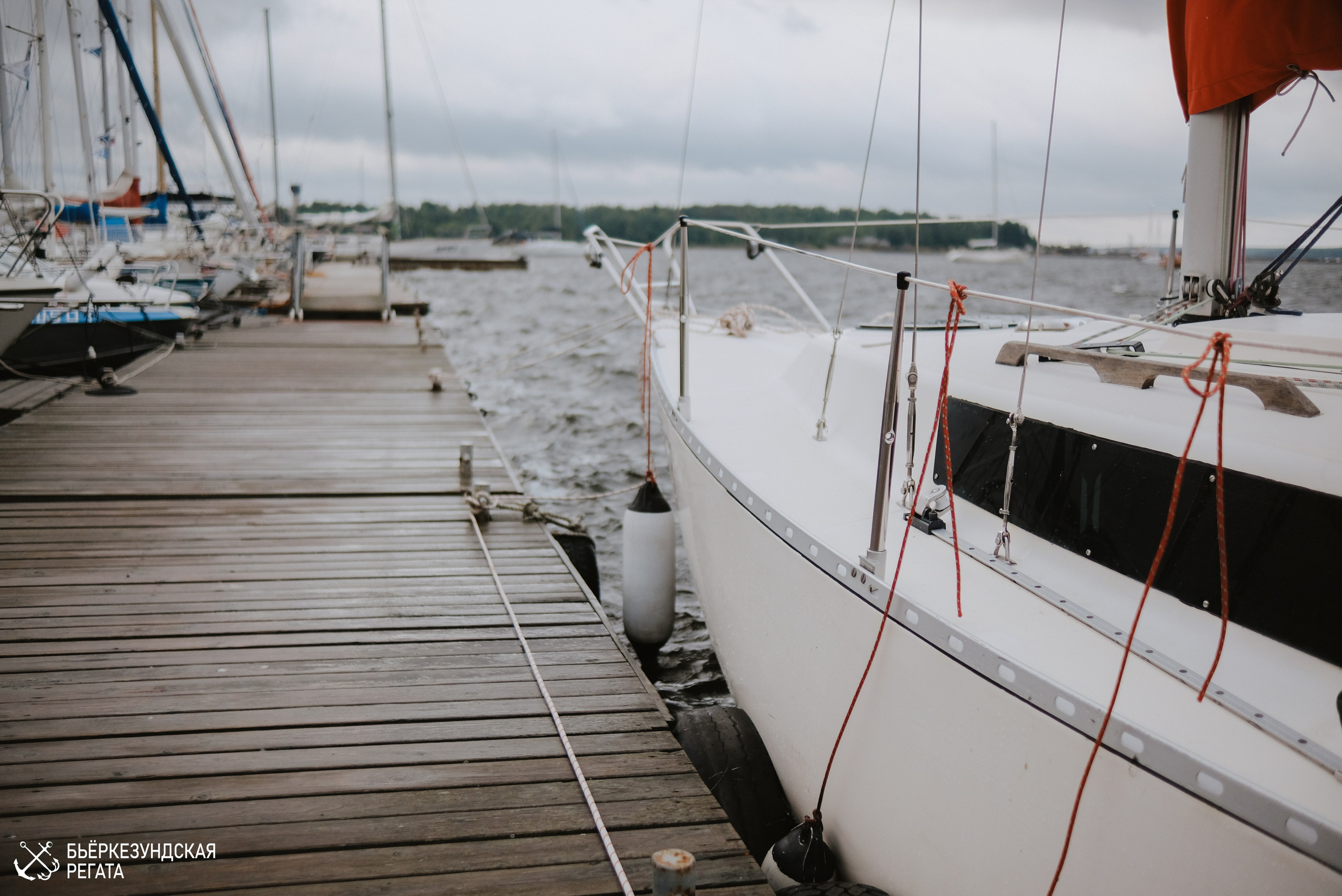 Морской фестиваль. Фотограф Катерина Мартьянова Санкт-Петербург