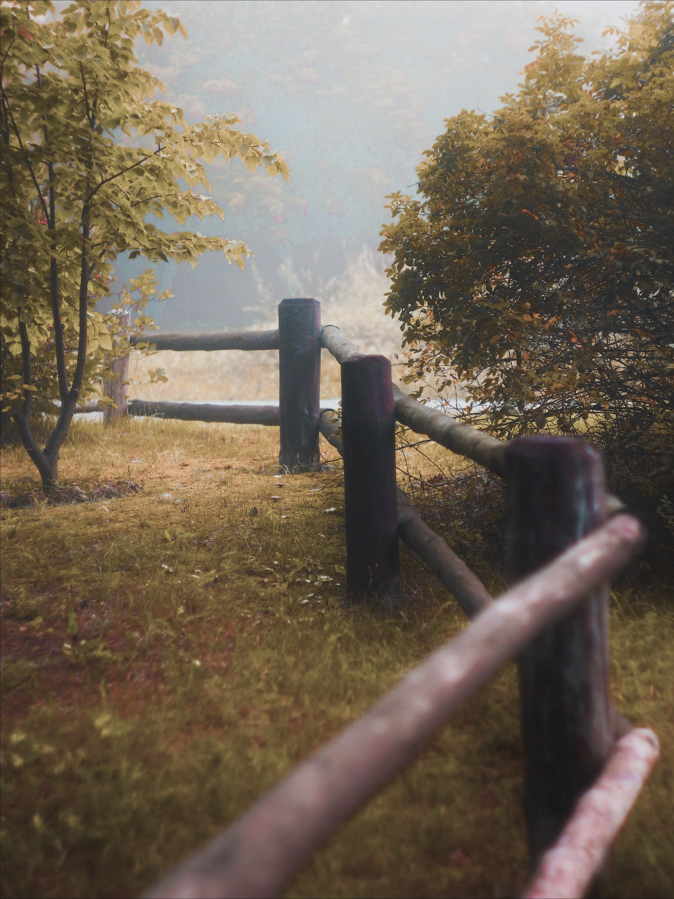 Меланхолия августа. С любовью, фотохудожник