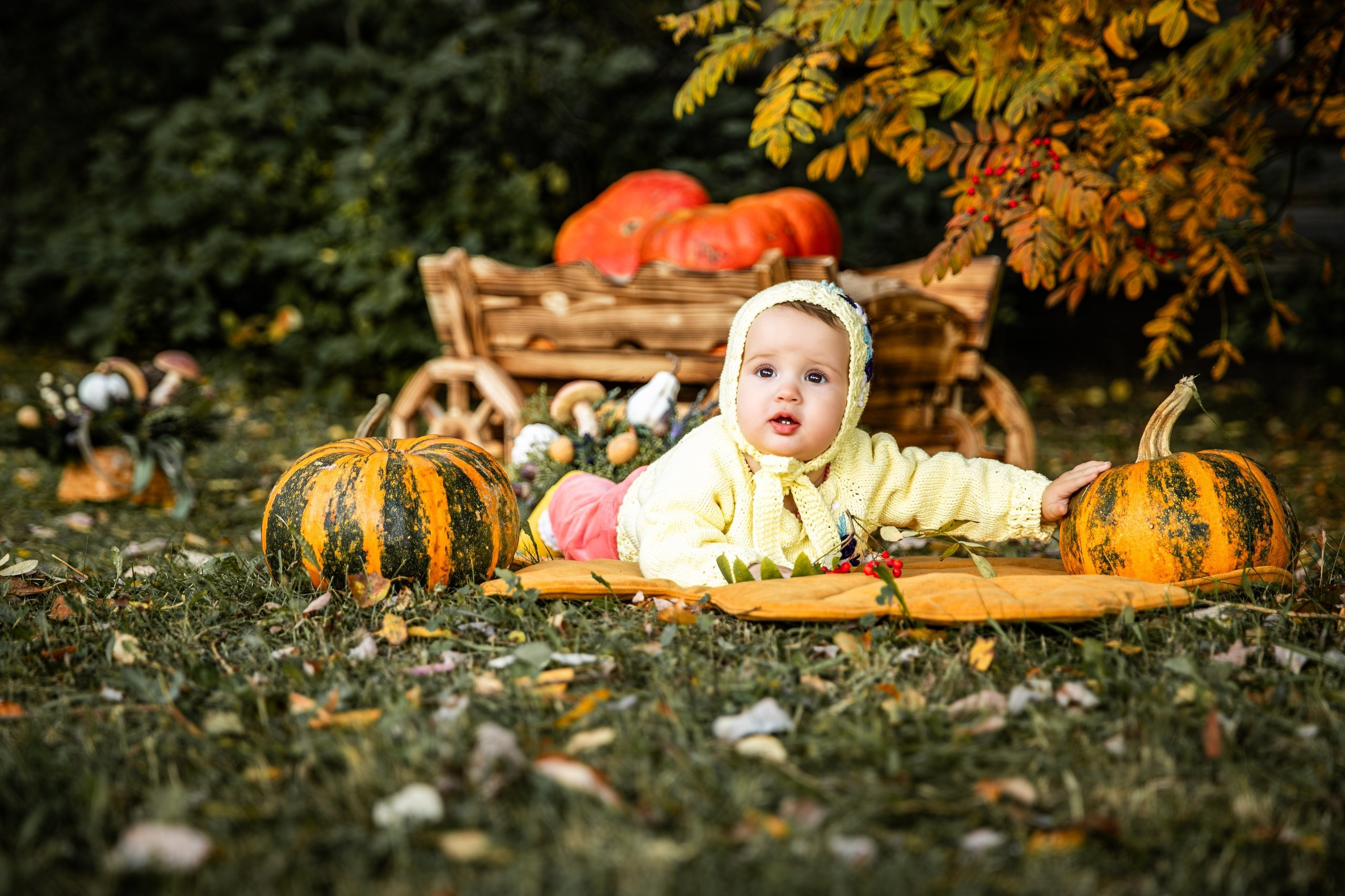 Осенние. Фотограф Елена Вишневская (Ушакова) Нефтеюганск, Сургут, Тюмень