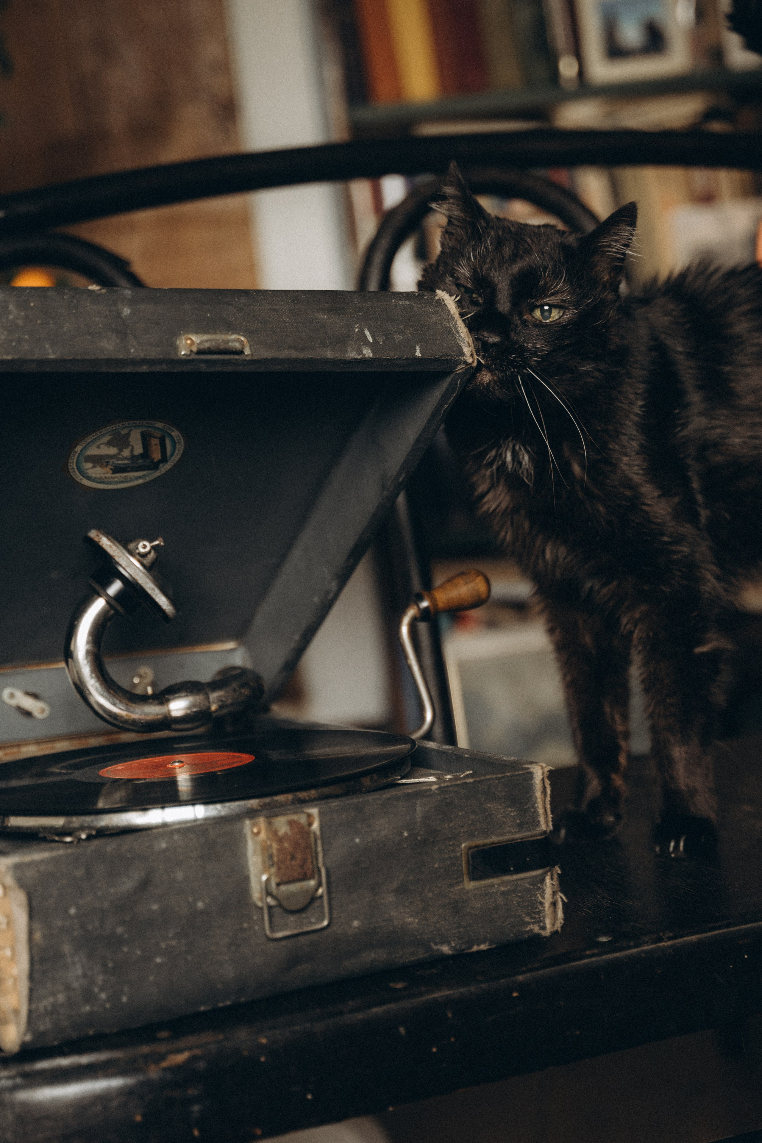 Анастасия и Антон. Новогодняя сказка. Мария Кобзева, фотограф в Ялте, Крым