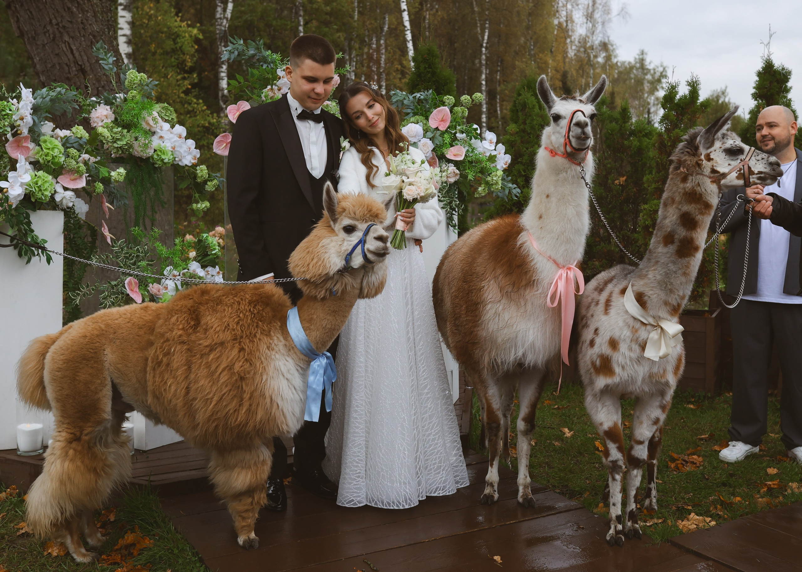 Зеленоградский ЗАГС. Свадебный фотограф Курзина Ольга | Москва