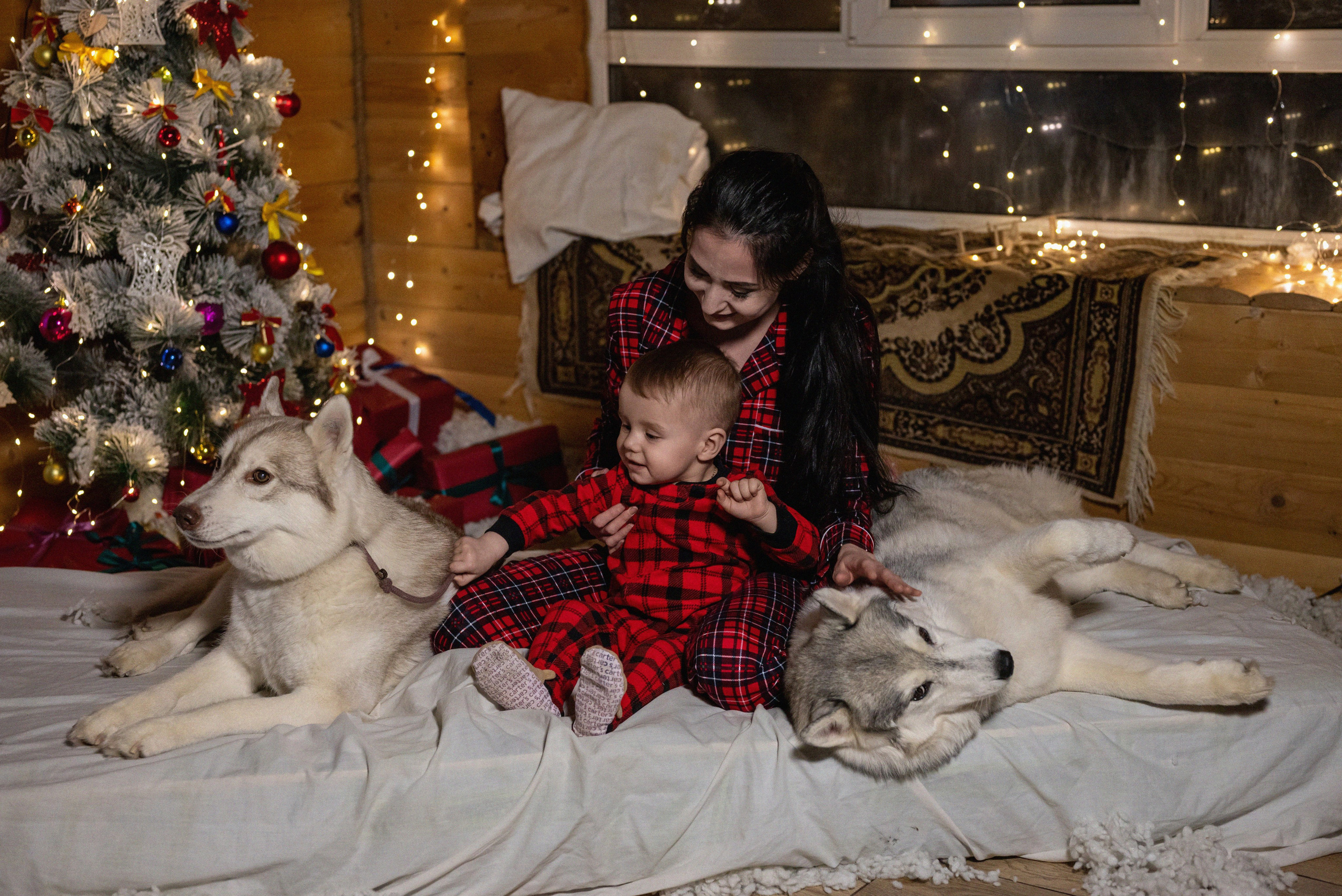 Фотопроект с хаски 2024 г. Фотограф в городе Салават