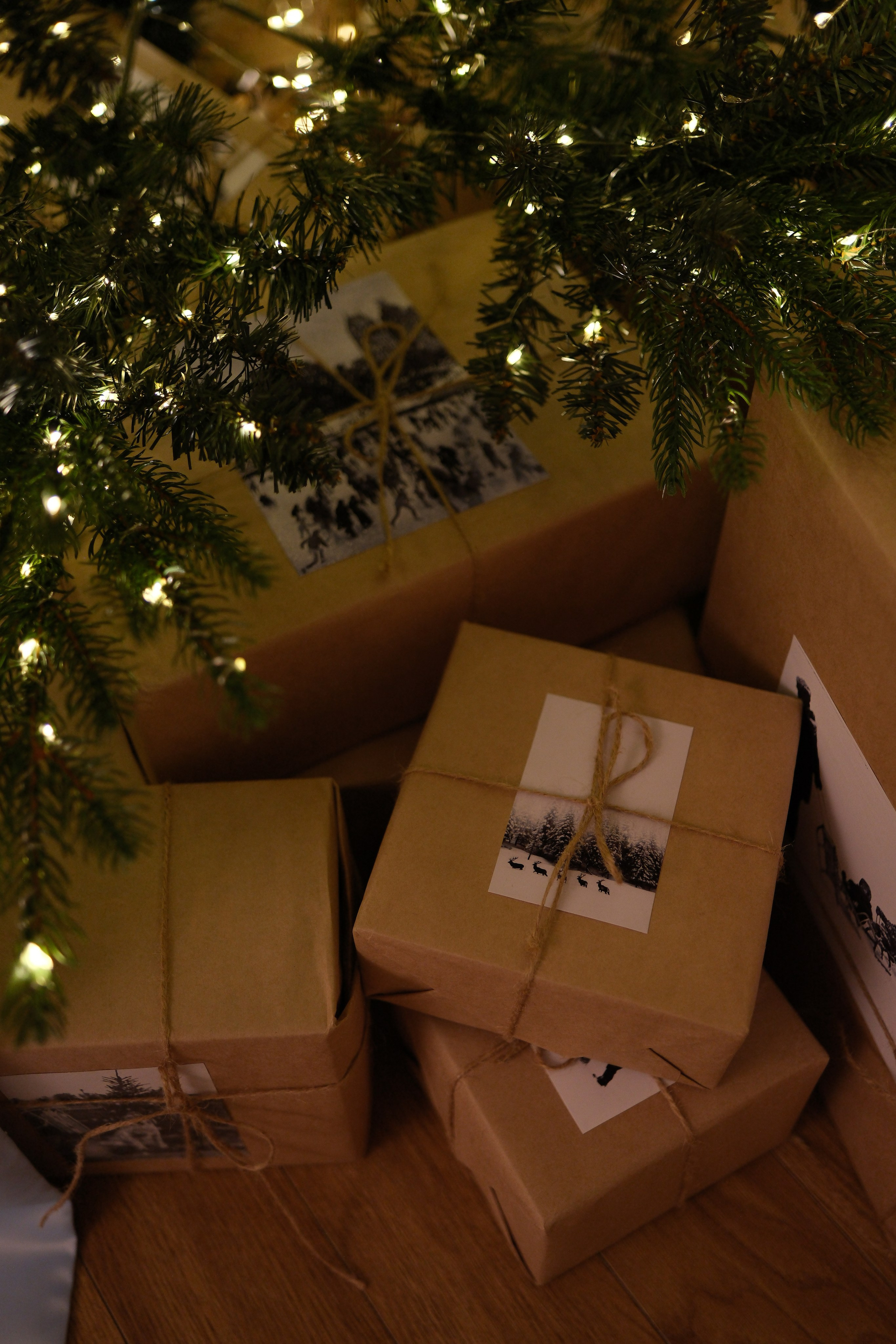 Интерьер Комната с террасой. Фотостудия Jam