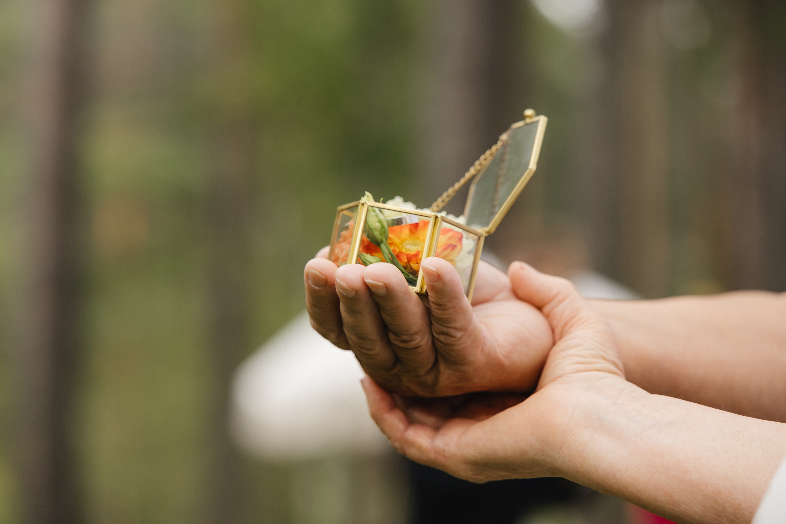 Данил и Даша. Организатор Романова Любовь